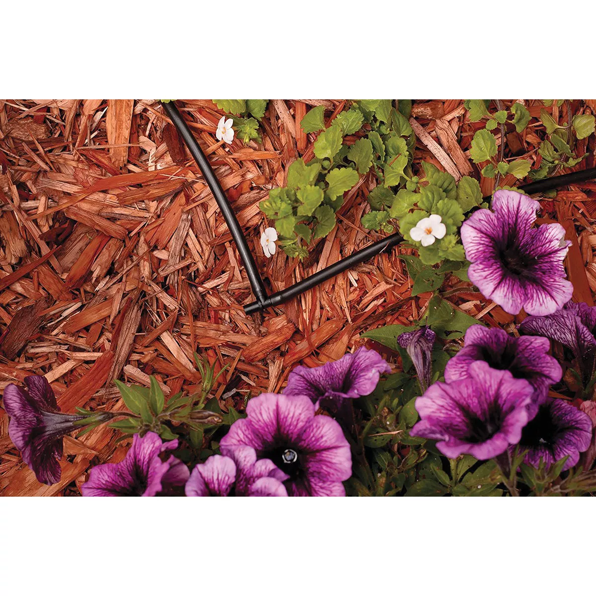 Rain Bird 1/4 In. Tubing Barbed Elbow (10-Pack) - photo 3