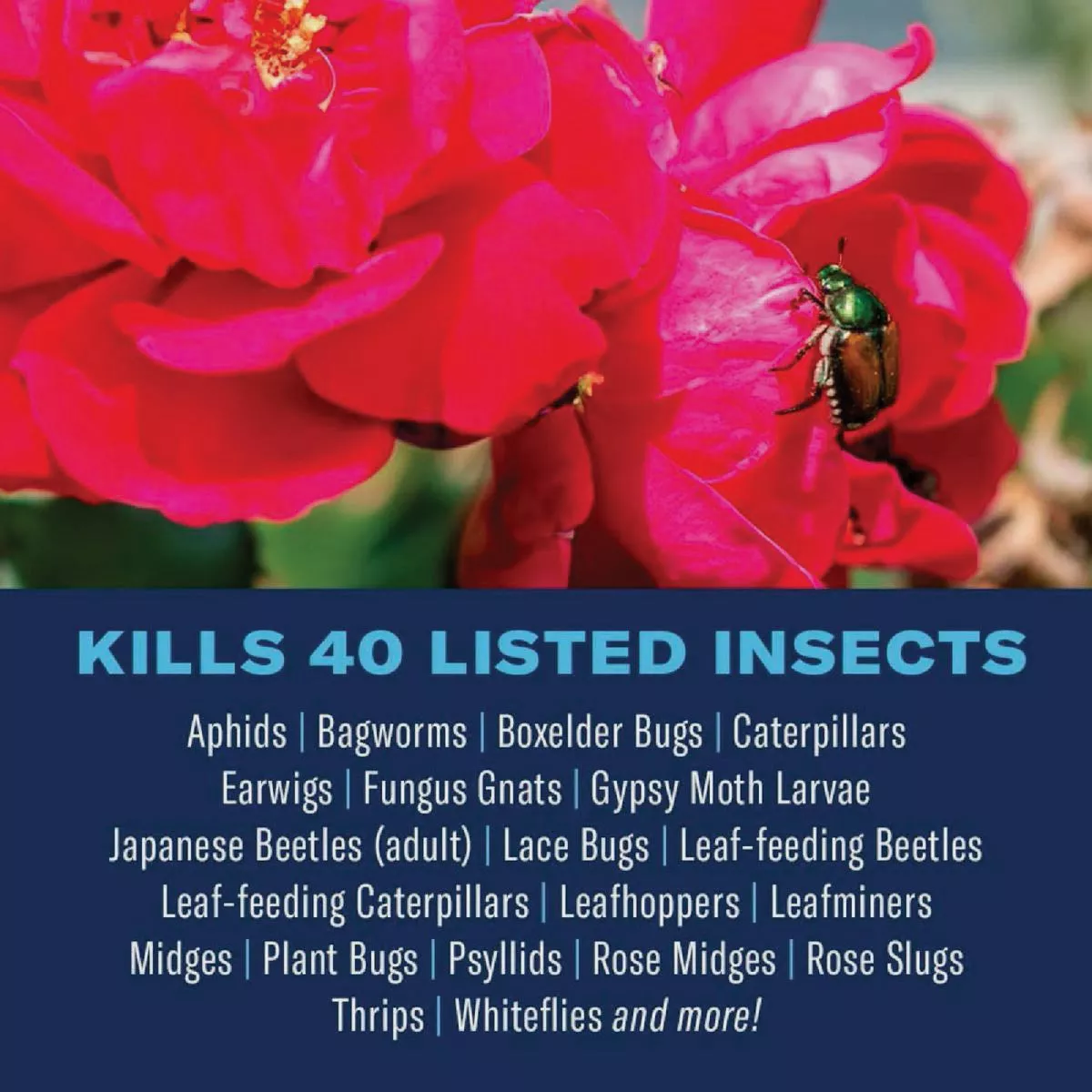 BioAdvanced Dual Action 24 Oz. Ready To Use Trigger Spray Rose and Flower Insect Killer - photo 2
