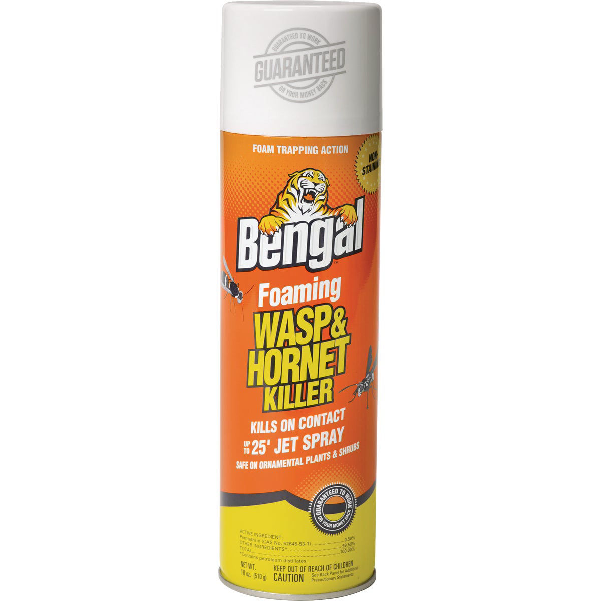 Bengal Wasp & Hornet Killer - Thumbnail 4