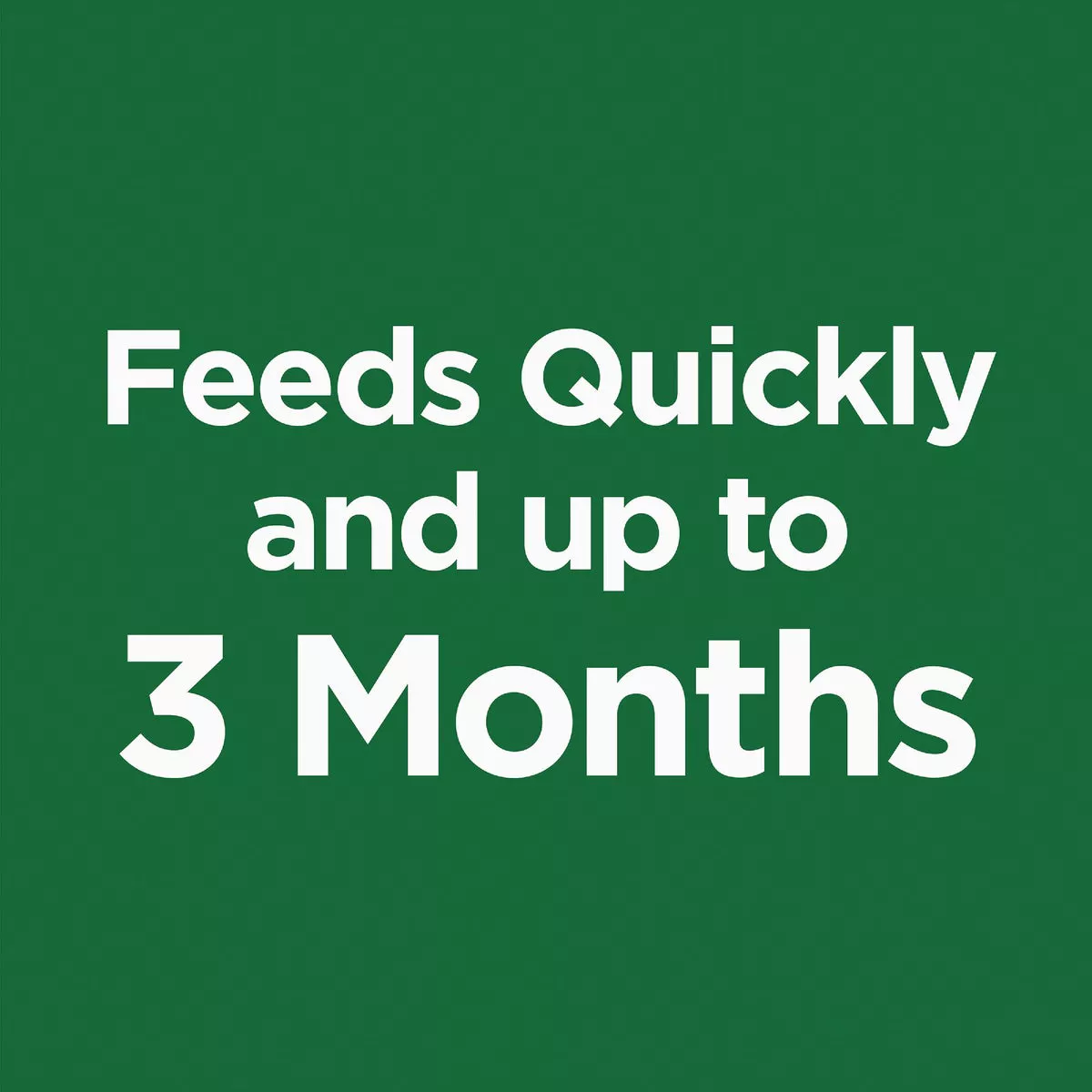 Burpee Natural & Organic 4 Lb. 3-6-4 Tomato + Vegetable Dry Plant Food - photo 5