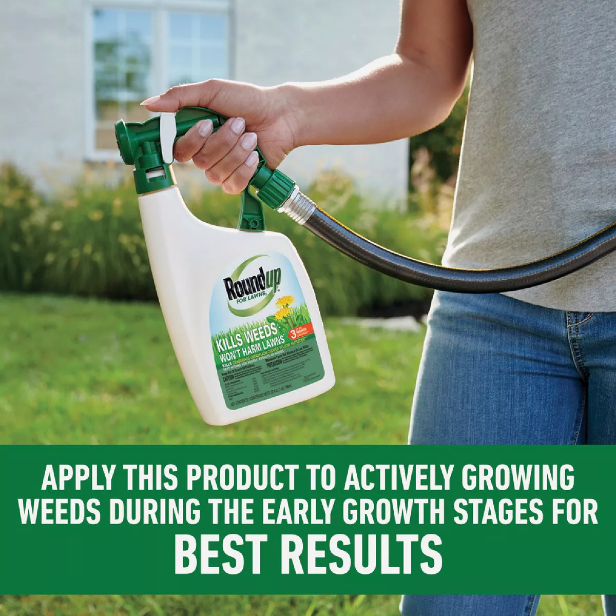 Roundup For Lawns 32 Oz. Northern Formula Weed Killer - photo 7
