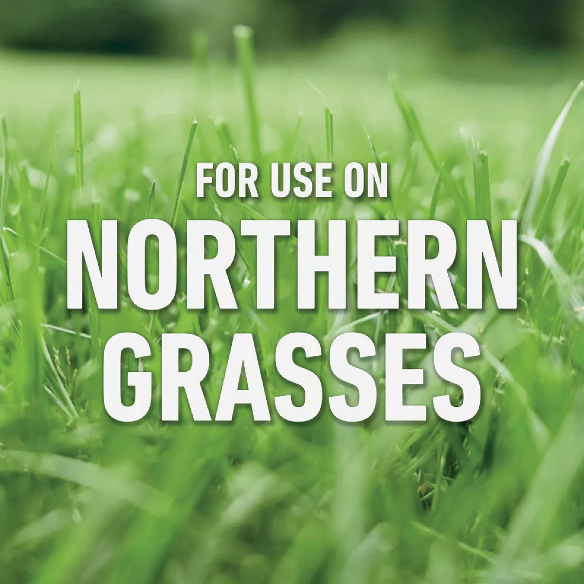 Roundup For Lawns 1 Gal. Wand Sprayer Northern Formula Weed Killer - photo 4