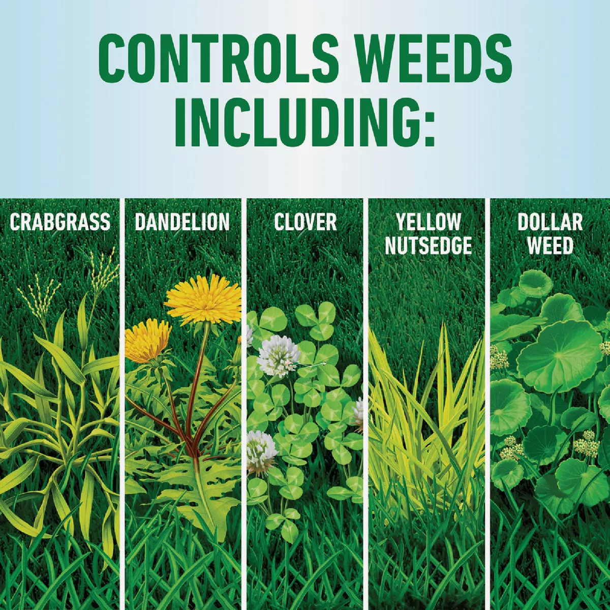 Roundup For Lawns 1 Gal. Wand Sprayer Northern Formula Weed Killer - photo 5