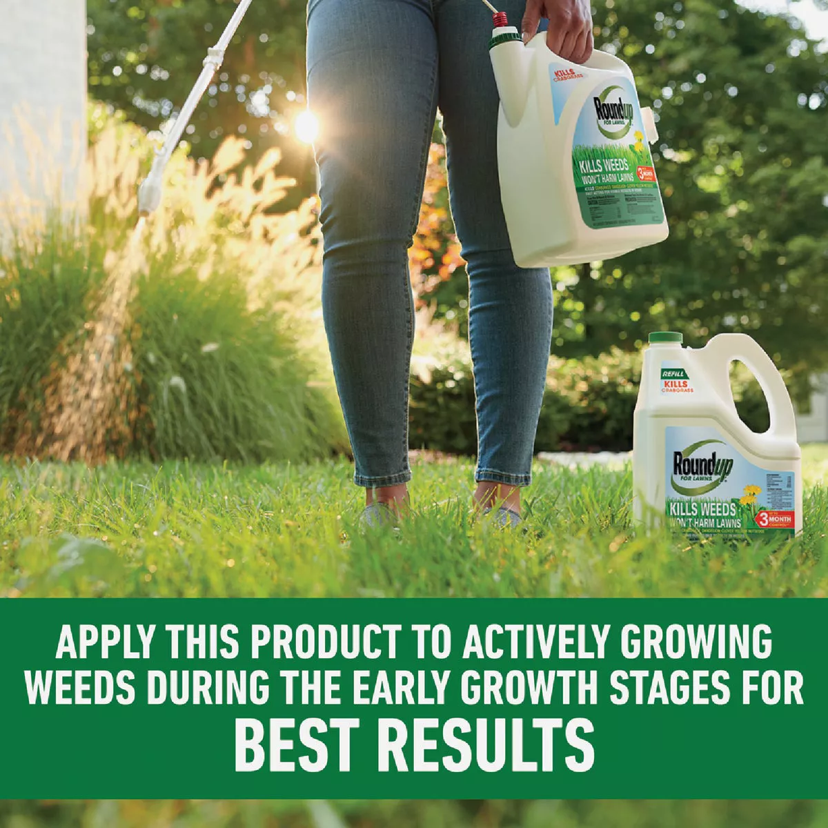 Roundup For Lawns 1.25 Gal. Refill Northern Formula Weed Killer - photo 7