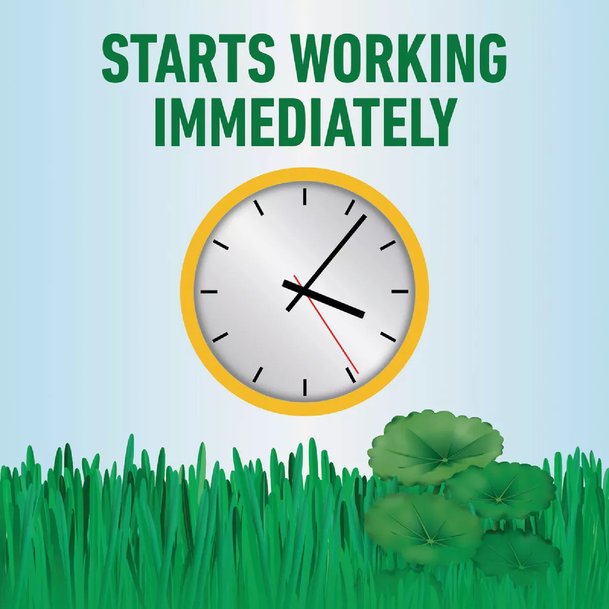 Roundup For Lawns 32 Oz. Concentrate Southern Formula Weed Killer - photo 7