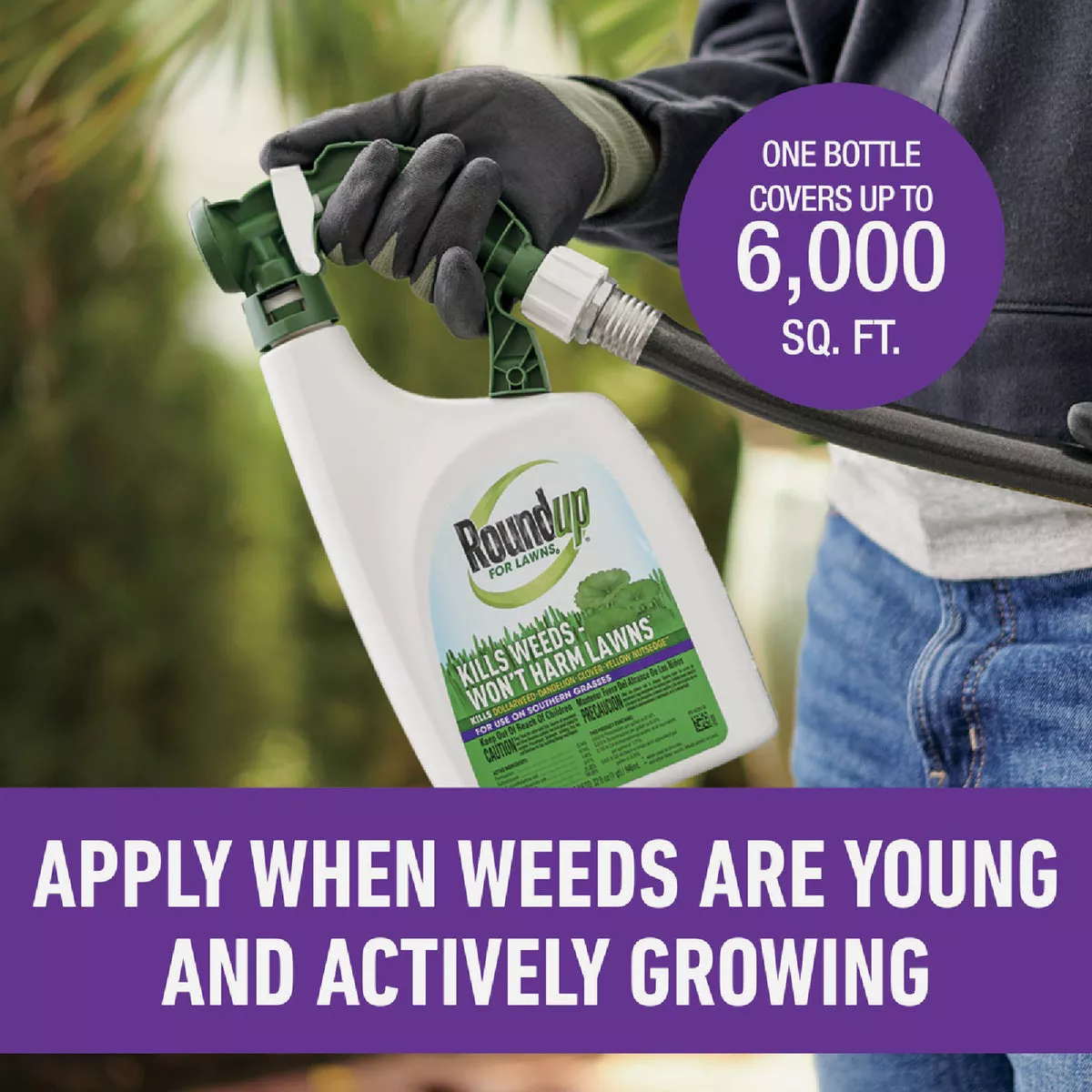 Roundup For Lawns 32 Oz. Spray Southern Formula Weed Killer - photo 6