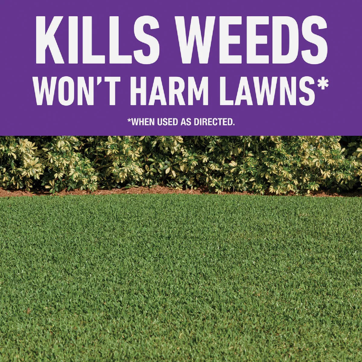 Roundup For Lawns 32 Oz. Spray Southern Formula Weed Killer - photo 2