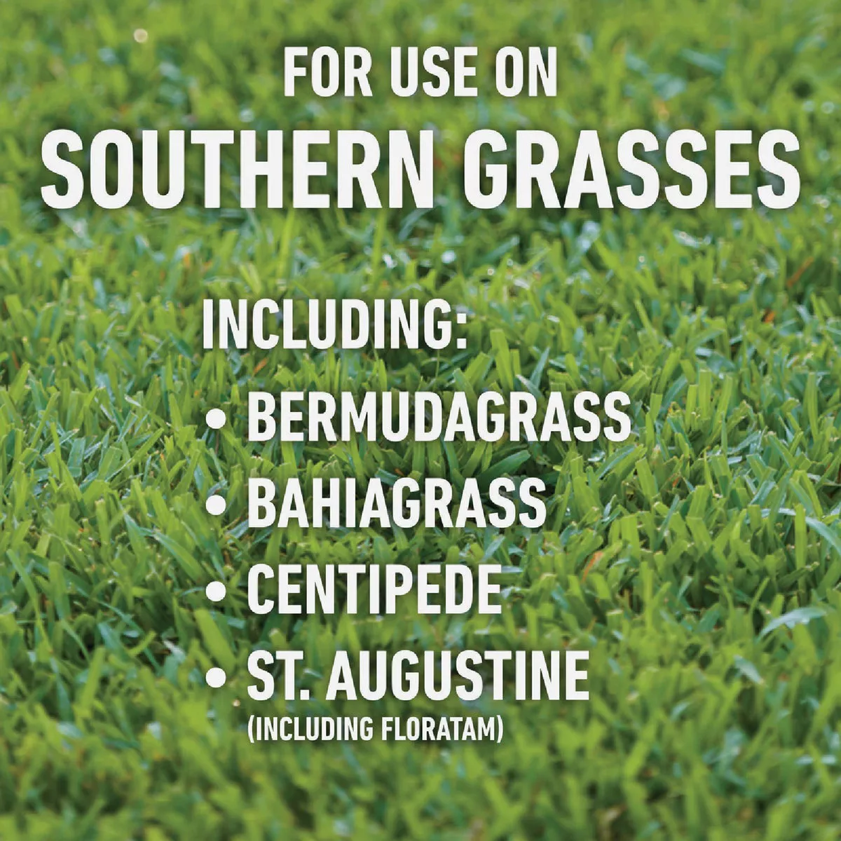 Roundup For Lawns 1 Gal. Wand Sprayer Southern Formula Weed Killer - photo 3