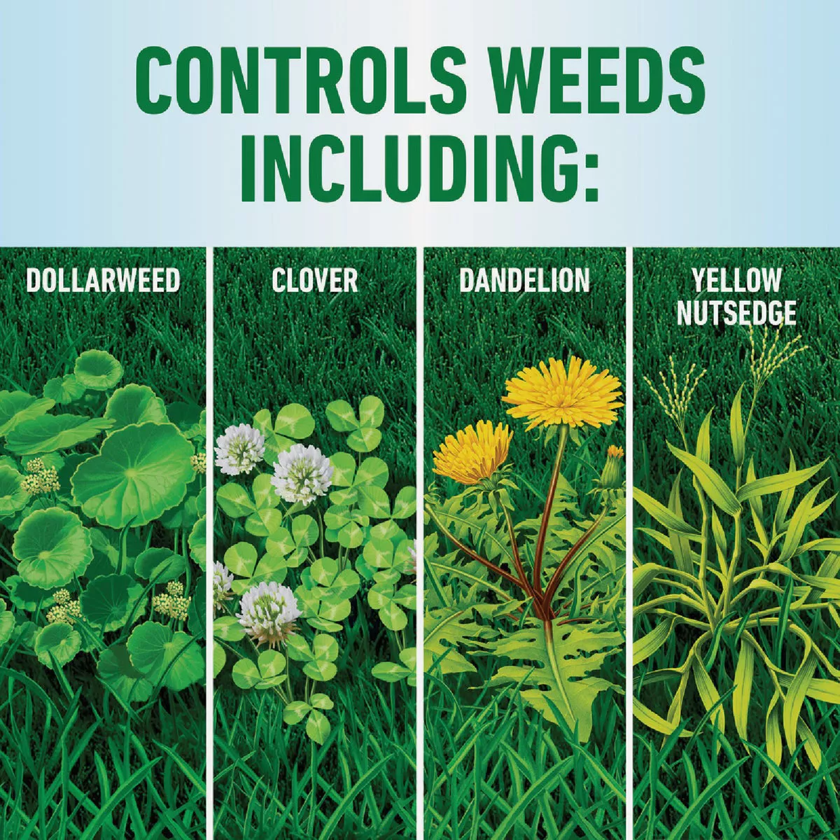Roundup For Lawns 1 Gal. Wand Sprayer Southern Formula Weed Killer - photo 4