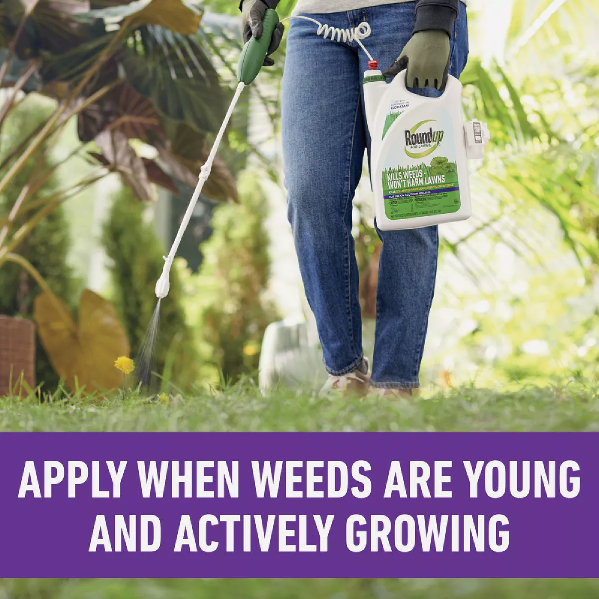 Roundup For Lawns 1 Gal. Wand Sprayer Southern Formula Weed Killer - photo 6