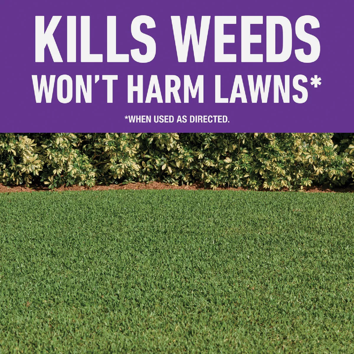 Roundup For Lawns 1 Gal. Wand Sprayer Southern Formula Weed Killer - photo 2