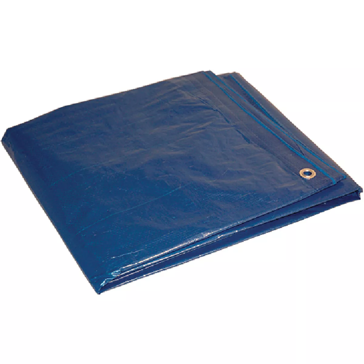 Foremost Cut Size Blue 6 Ft. x 8 Ft. Poly Tarp, 192-042