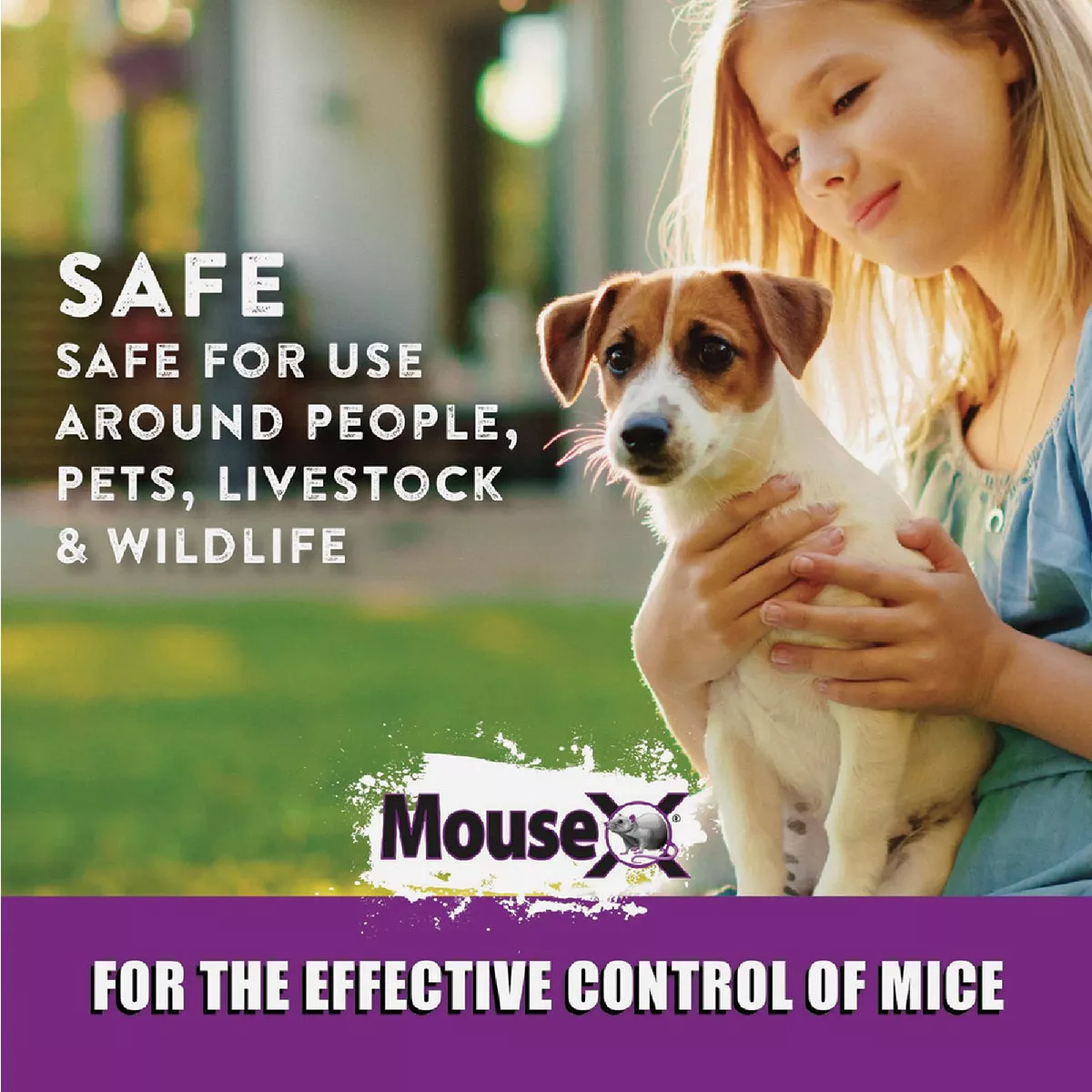 MouseX Pellet Mouse Killer, 1 Lb. - photo 3