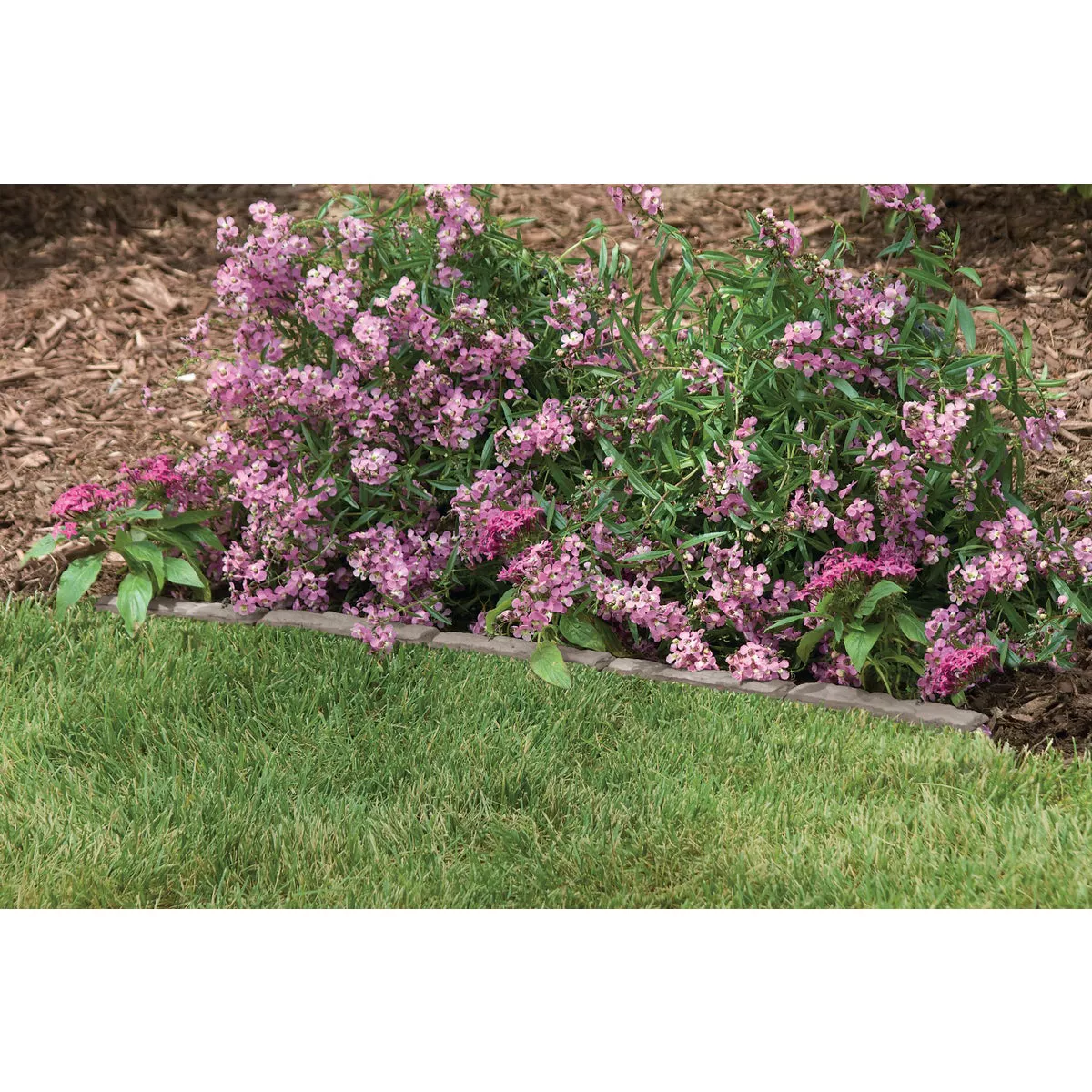 Suncast 3-3/4 In. H. x 3 Ft. L. Natural Flagstone Poly Lawn Edging - photo 2