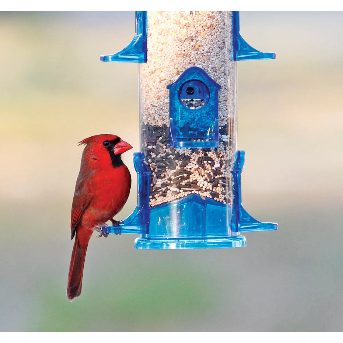 Stokes Select Blue Plastic 3.2 Lb. Capacity Jumbo Tube Bird Feeder - photo 3