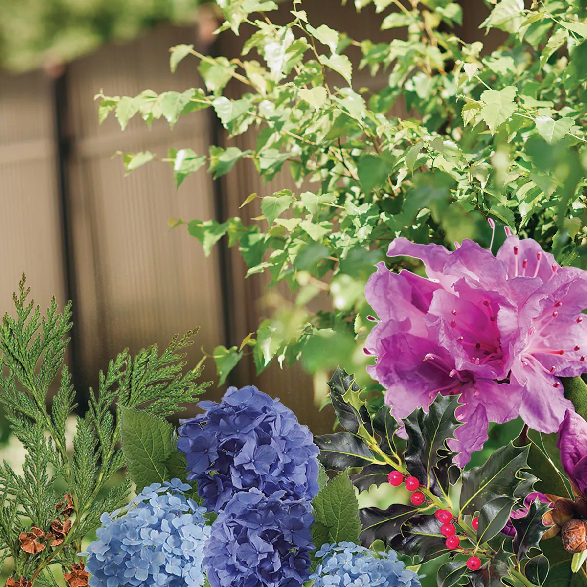 Bonide Garden Rich 4 Lb. 0-0-0 Aluminum Sulfate - photo 3