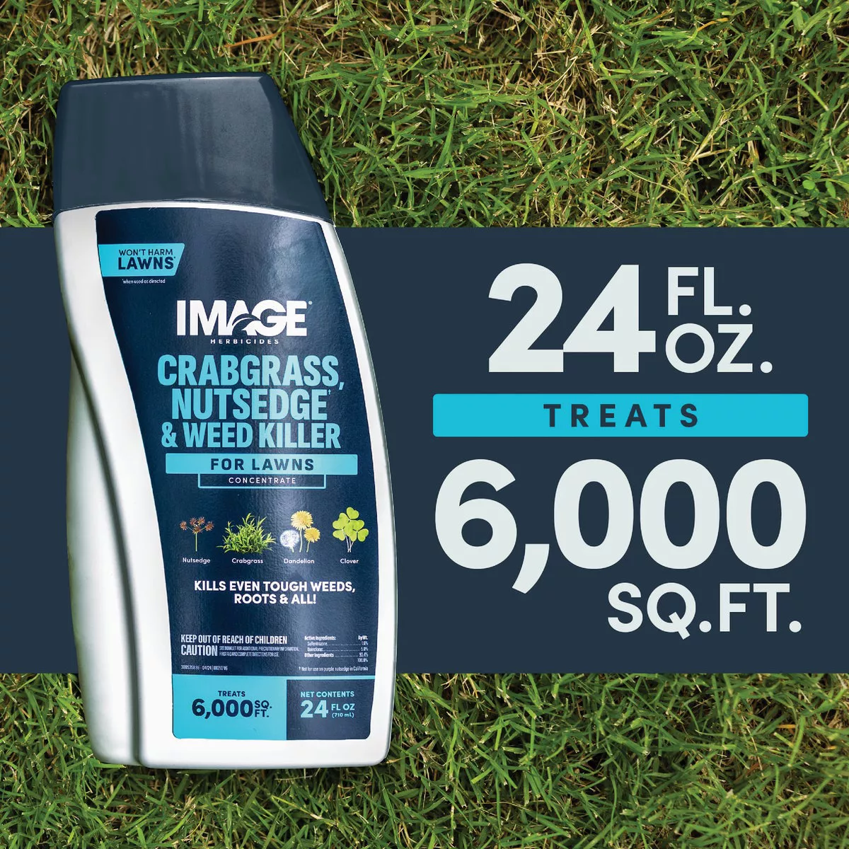 Image 24 Oz. Concentrate Crabgrass Nutsedge Lawn Weed Killer - photo 6