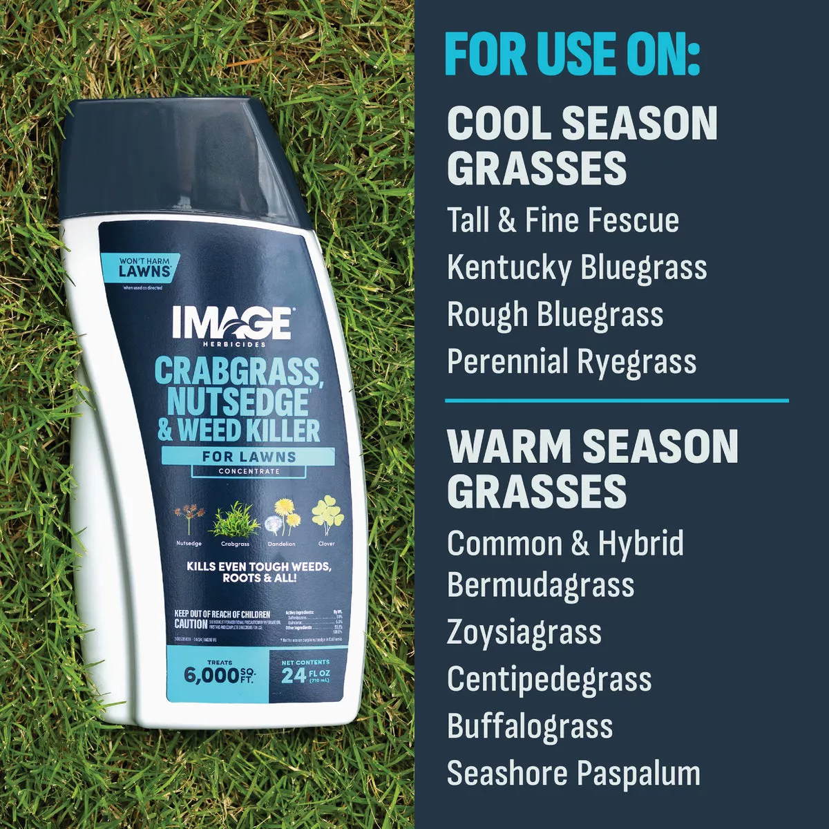 Image 24 Oz. Concentrate Crabgrass Nutsedge Lawn Weed Killer - photo 7
