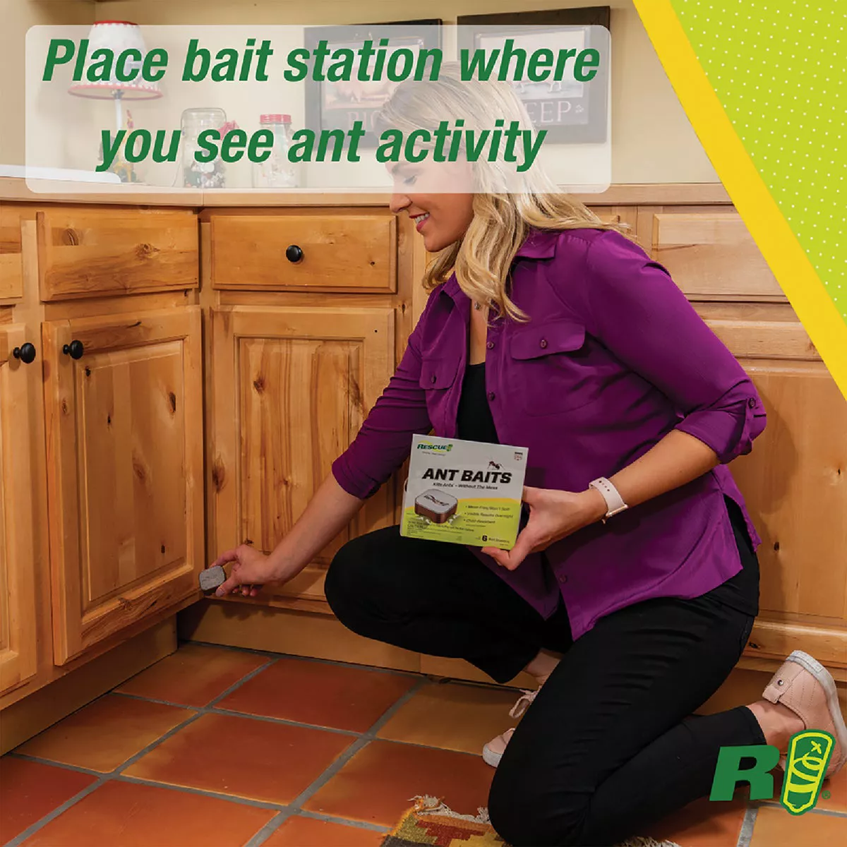 Rescue 1.92 Oz. Gel Ant Bait Station (6-Pack) - photo 4