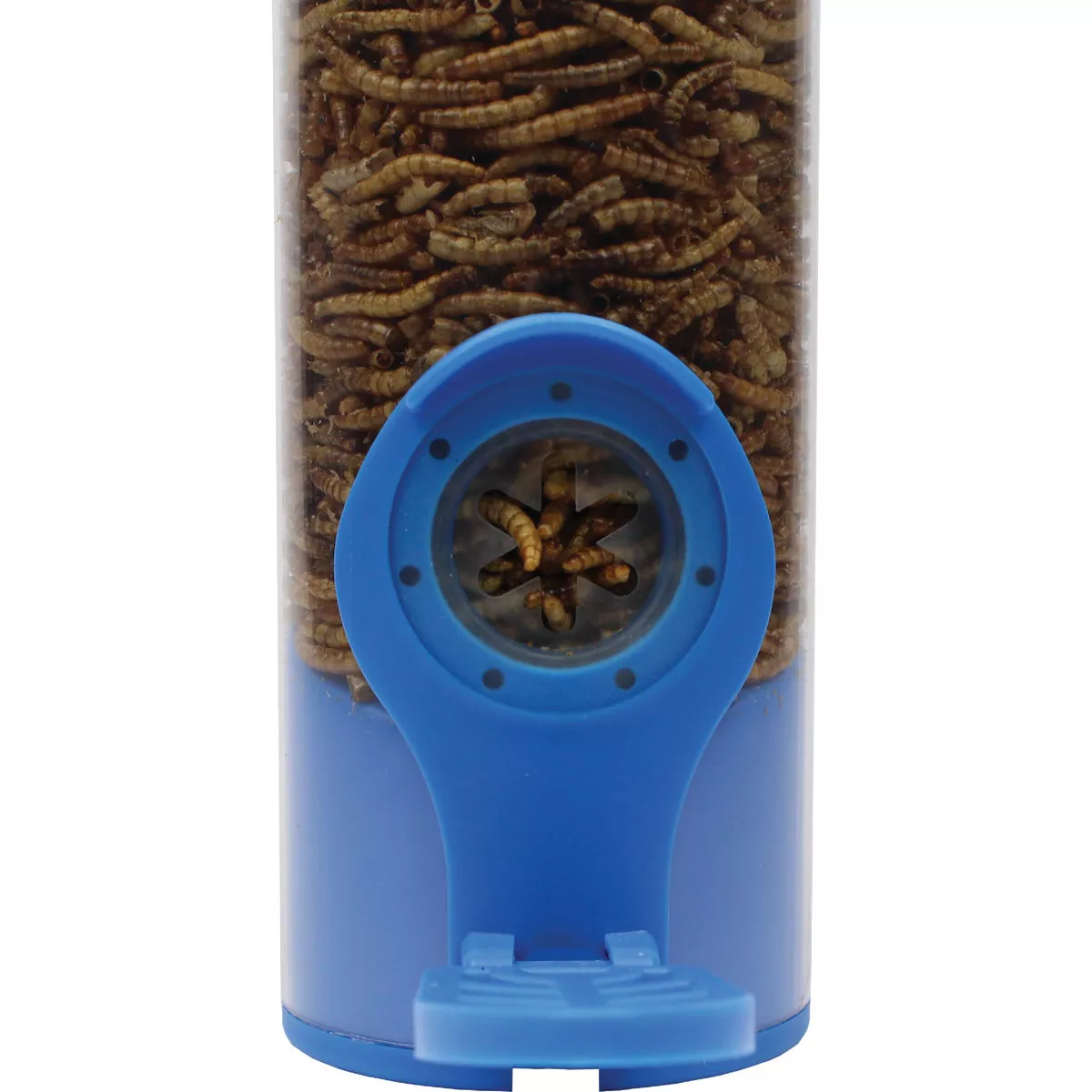 Perky-Pet Blue Plastic 3.5 Oz. Capacity Dried Mealworm Bird Feeder - photo 6