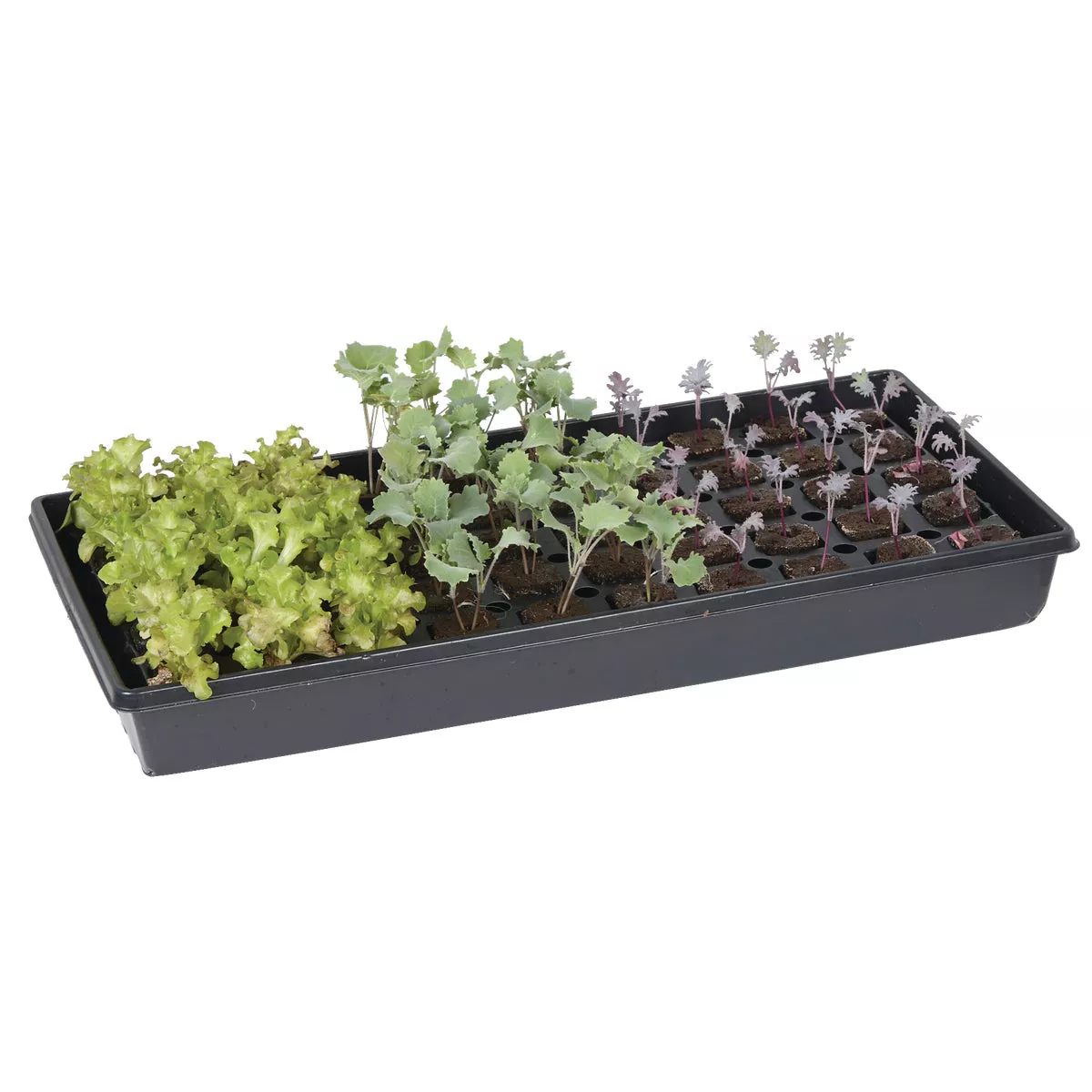 Root Farm 50-Cell Hydroponic Starter Kit - photo 4