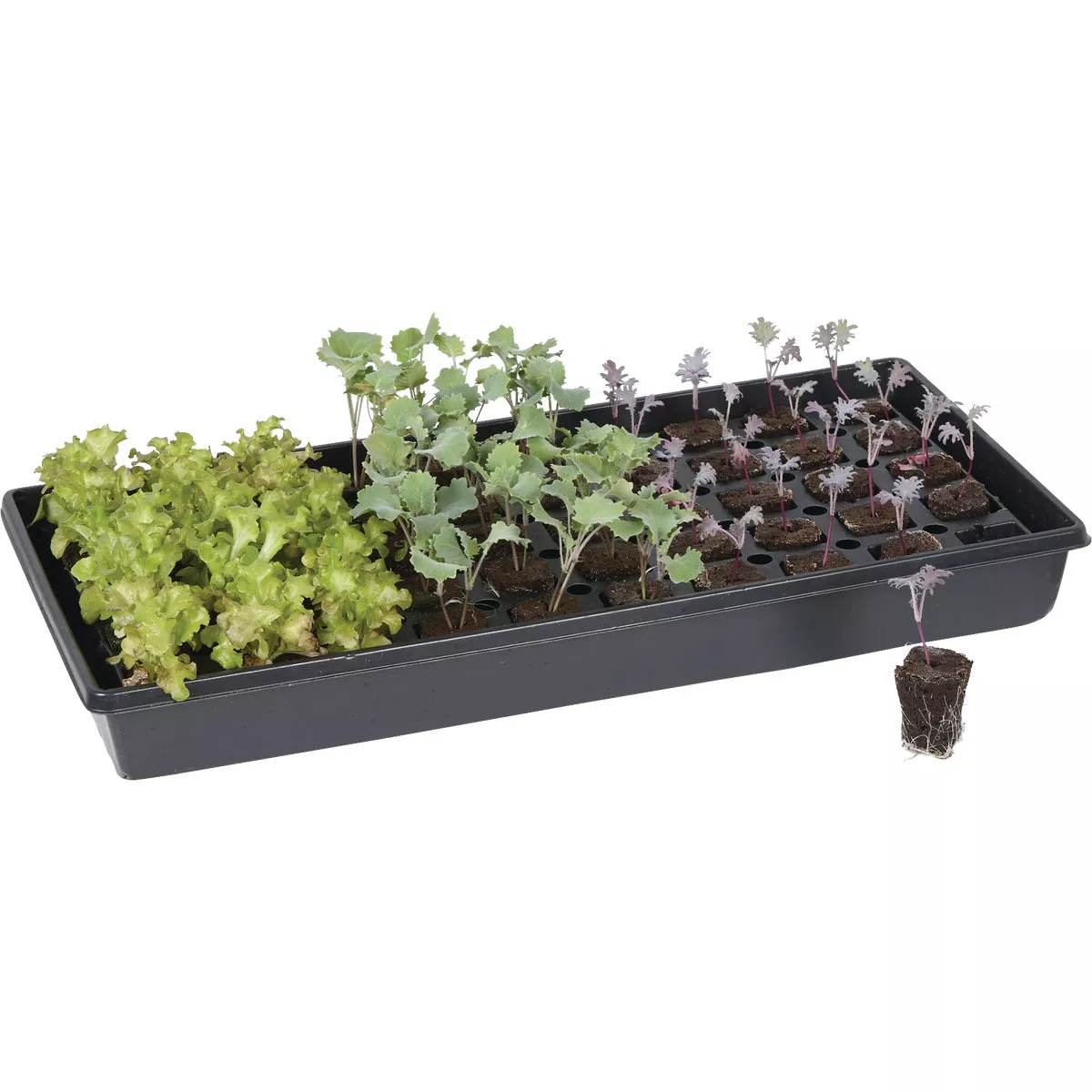 Root Farm 50-Cell Hydroponic Starter Kit - photo 3
