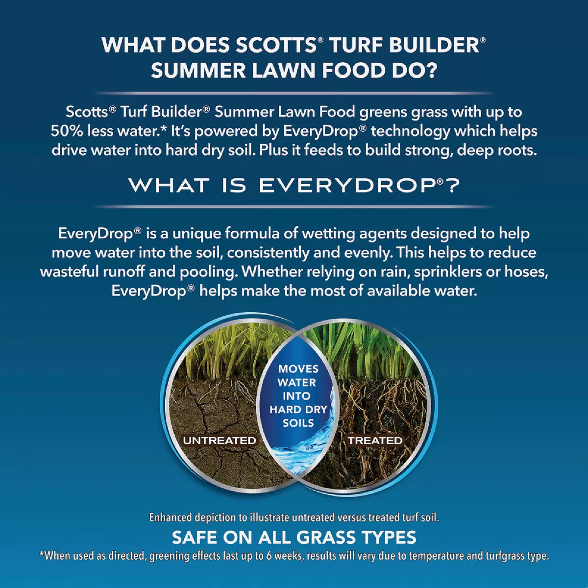 Scotts Turf Builder 4000 Sq. Ft. Summer Lawn Food - photo 2