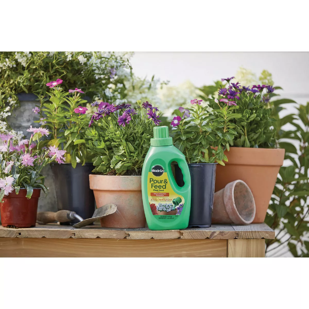 Miracle-Gro Pour & Feed 32 Oz. Liquid Plant Food - photo 2