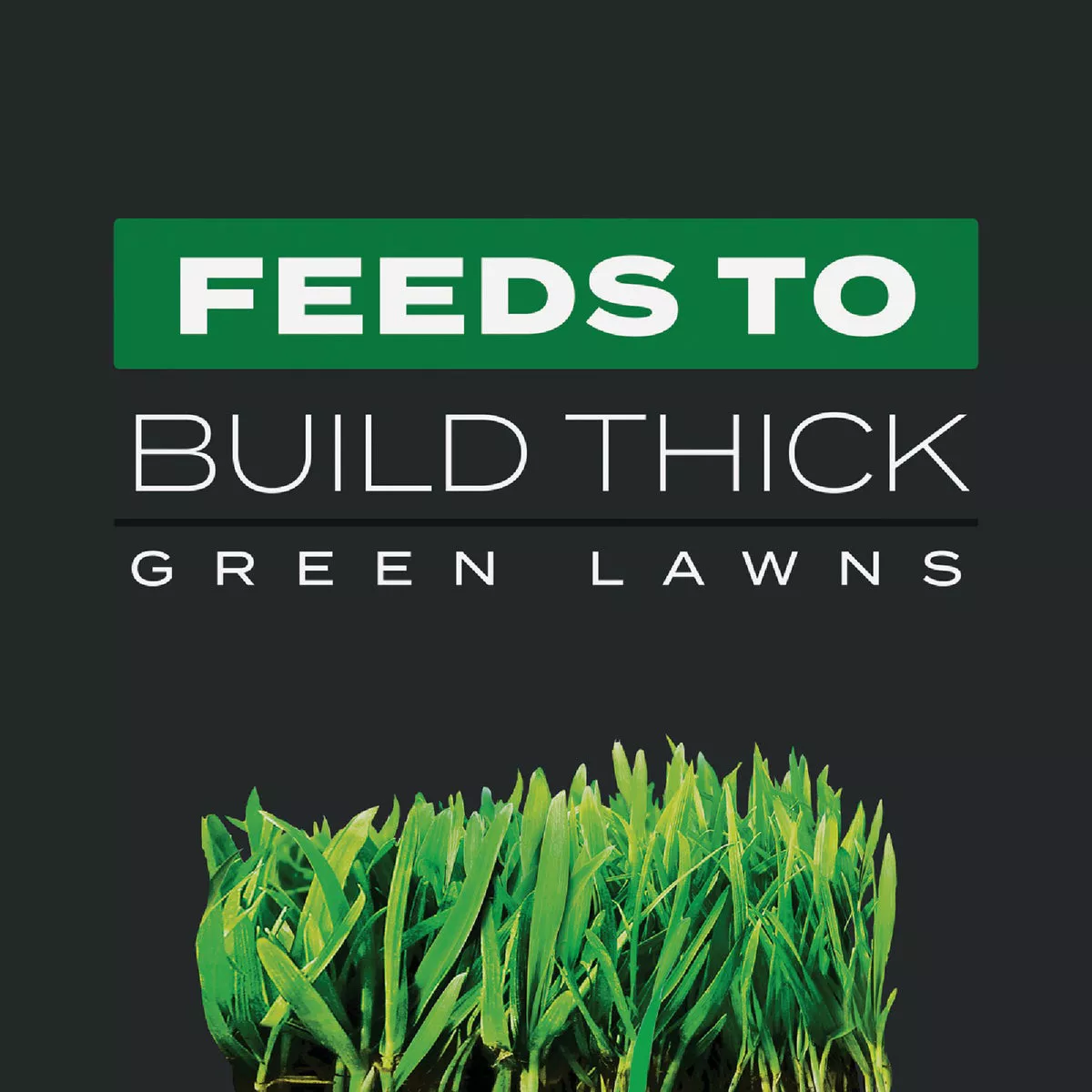 Scotts Turf Builder Triple Action 34 Lb. 12,000 Sq. Ft. Weed Killer Plus Lawn Fertilizer - photo 4