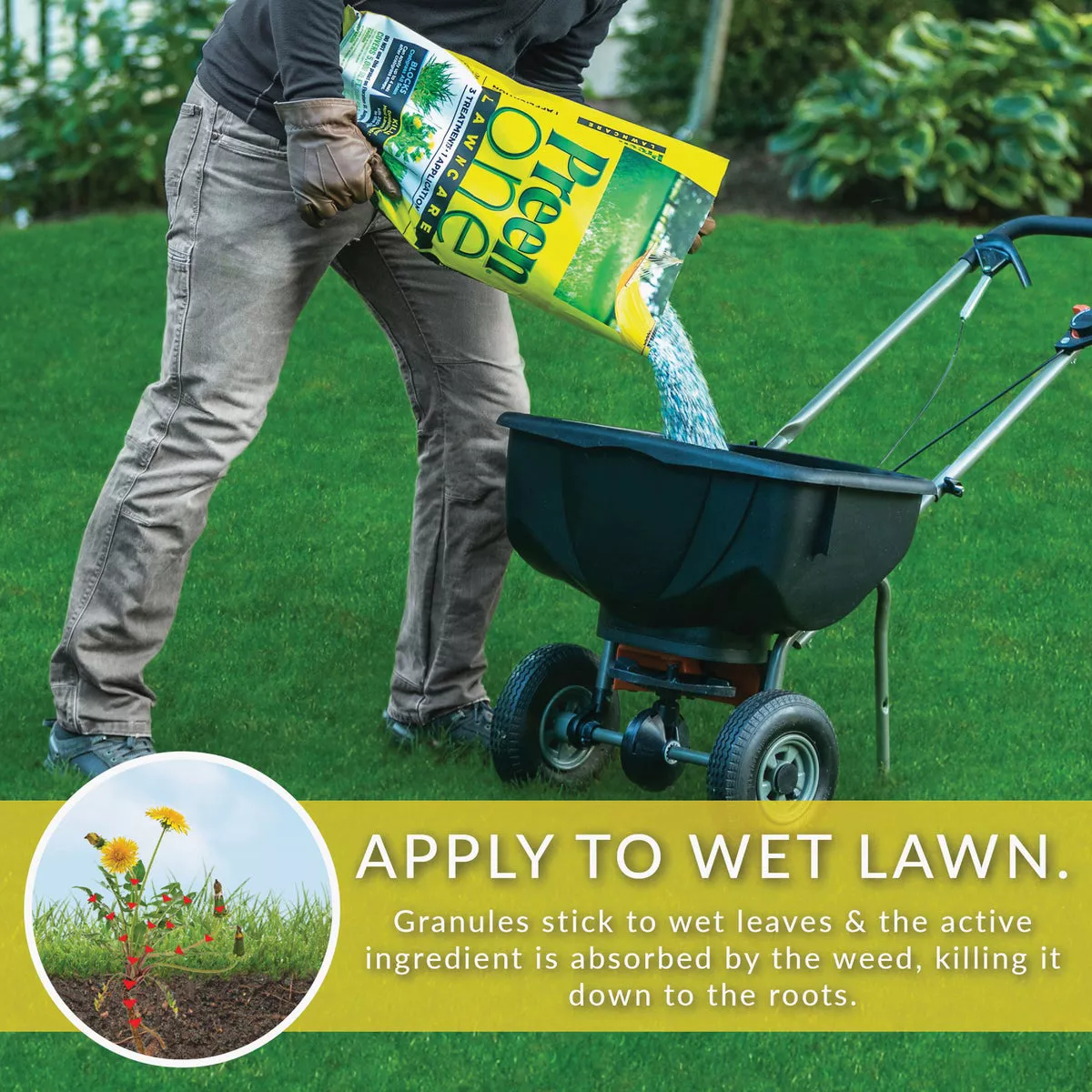 Preen One Lawn Care 18 Lb. Ready To Use Granules Weed Killer with Fertilizer - photo 6