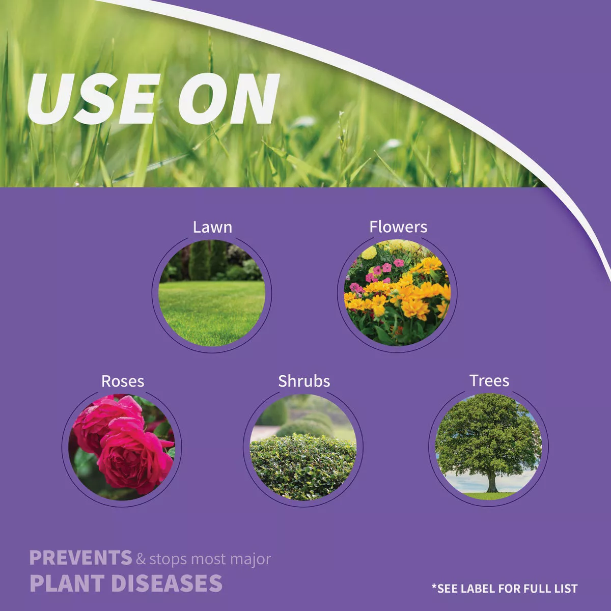 Bonide Infuse 16 Oz. Concentrate Systemic Disease Control - photo 4