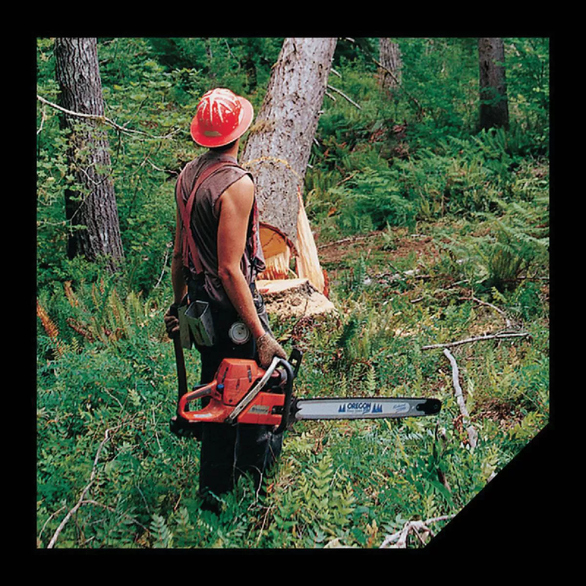 Oregon 5-1/2 In. Plastic Felling Wedge - photo 3