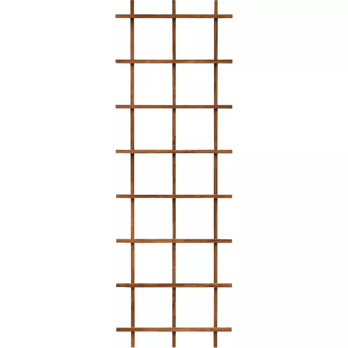 Panacea 72 In. Brown Wood Ladder Trellis