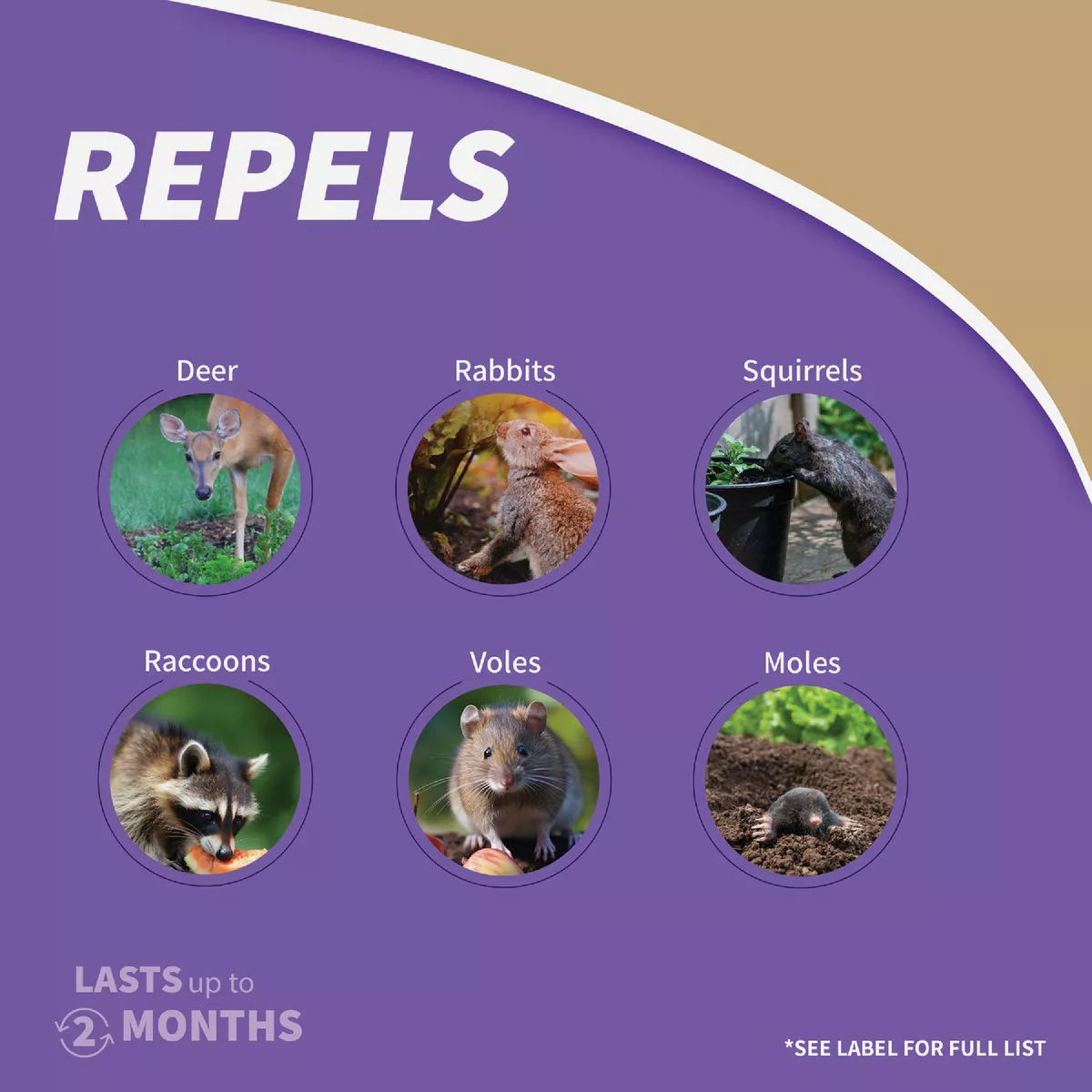 Bonide Repels-All 32 Oz. Concentrate Animal Repellent - photo 5