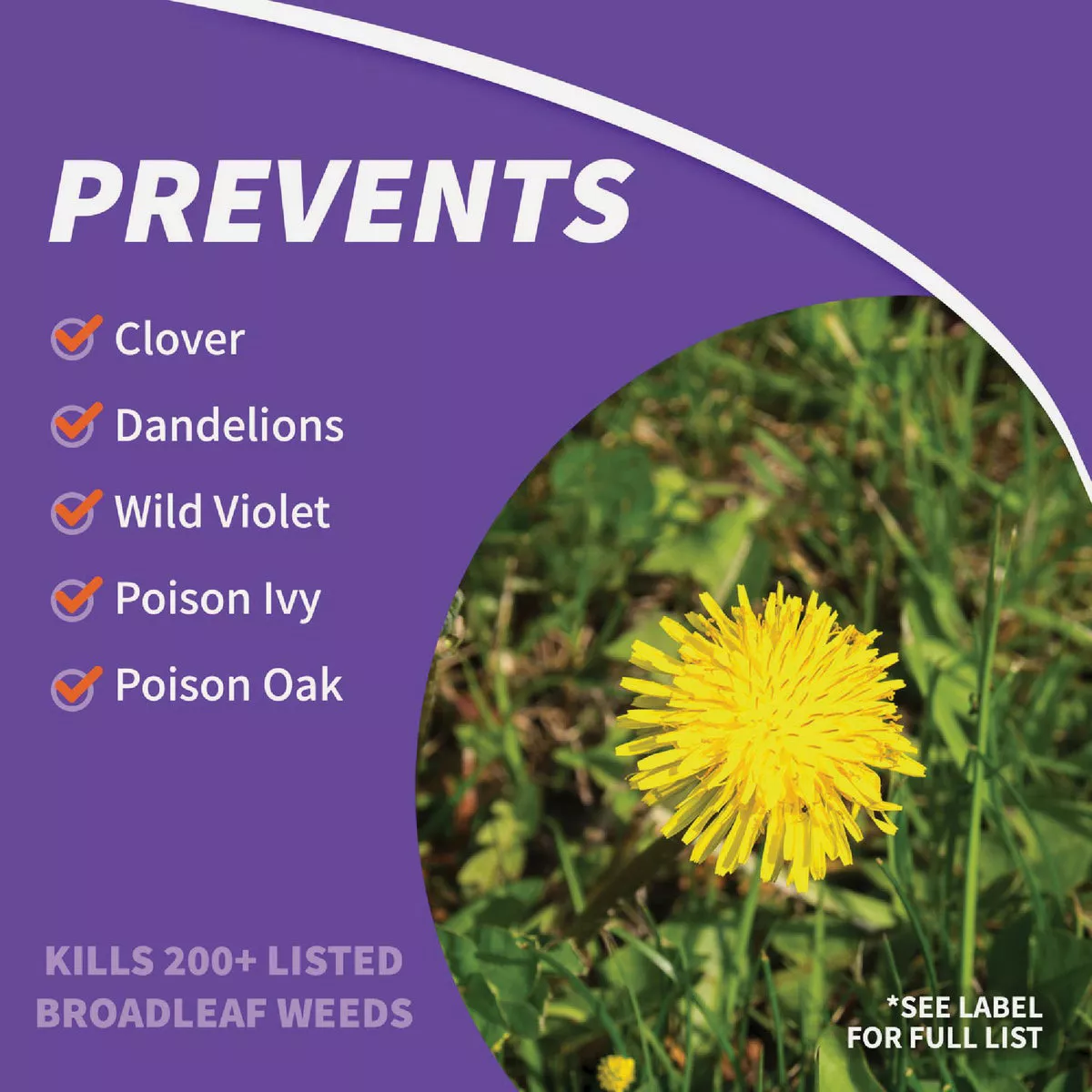 Bonide Weed Beater Ultra 1 Pt. Concentrate Weed Killer - photo 5