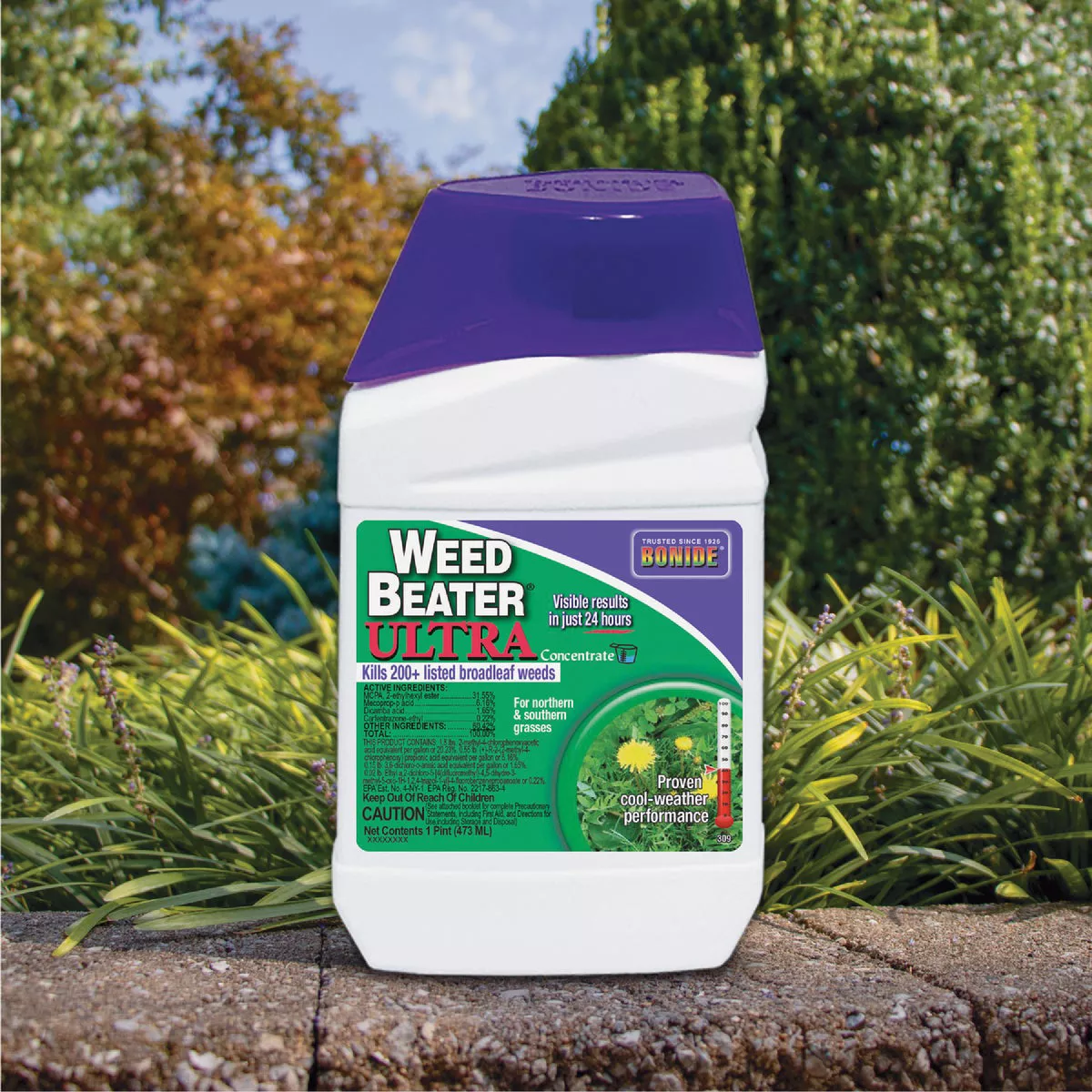 Bonide Weed Beater Ultra 1 Pt. Concentrate Weed Killer - photo 2