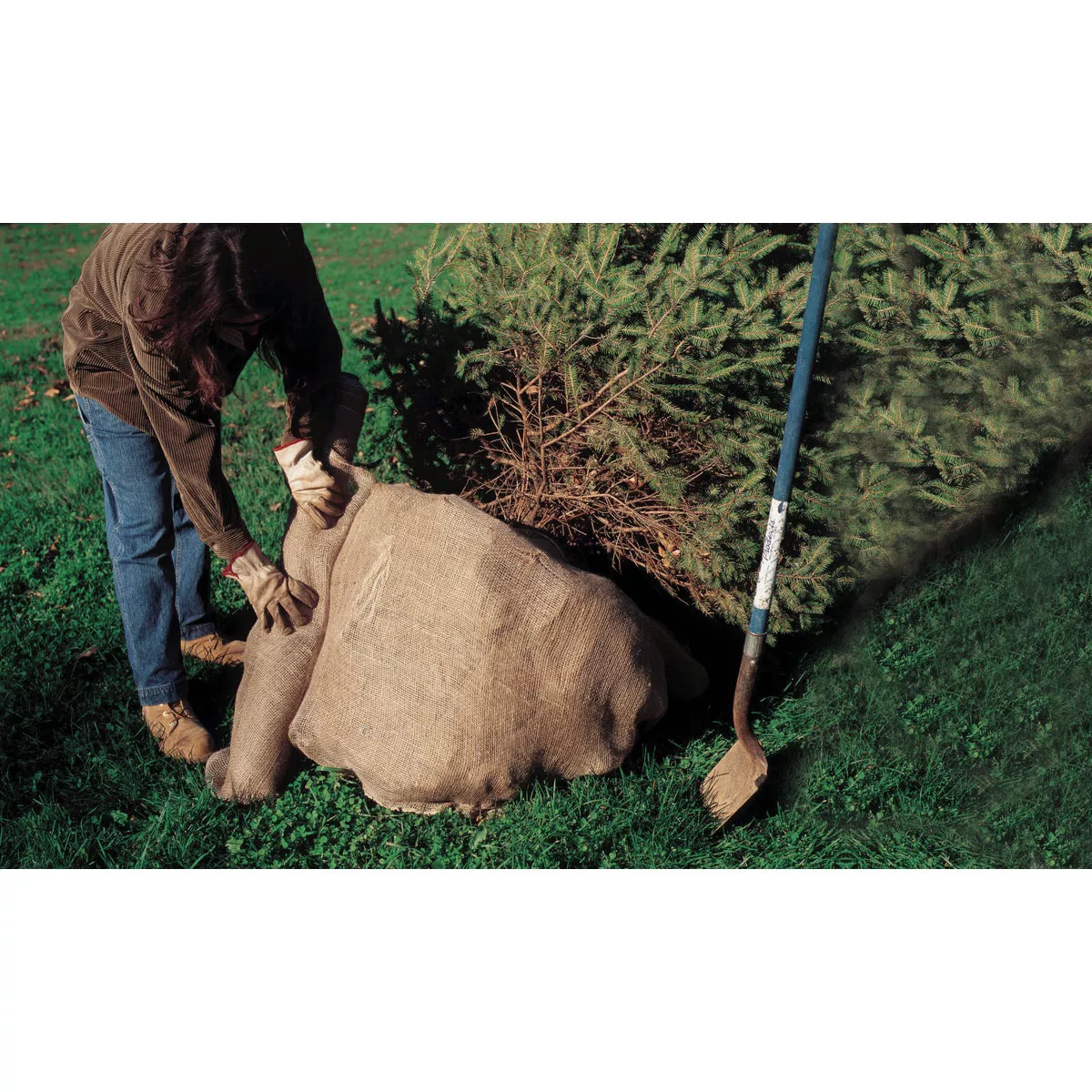 DeWitt 48 Ft. W. x 3 Ft. L. Natural Burlap - photo 3