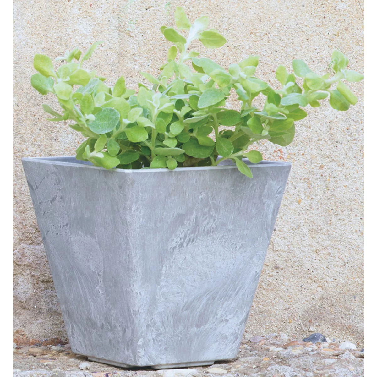 Novelty ArtStone Ella 8 In. W. x 8 In. H. x 8 In. L. Gray Resin Planter - photo 3