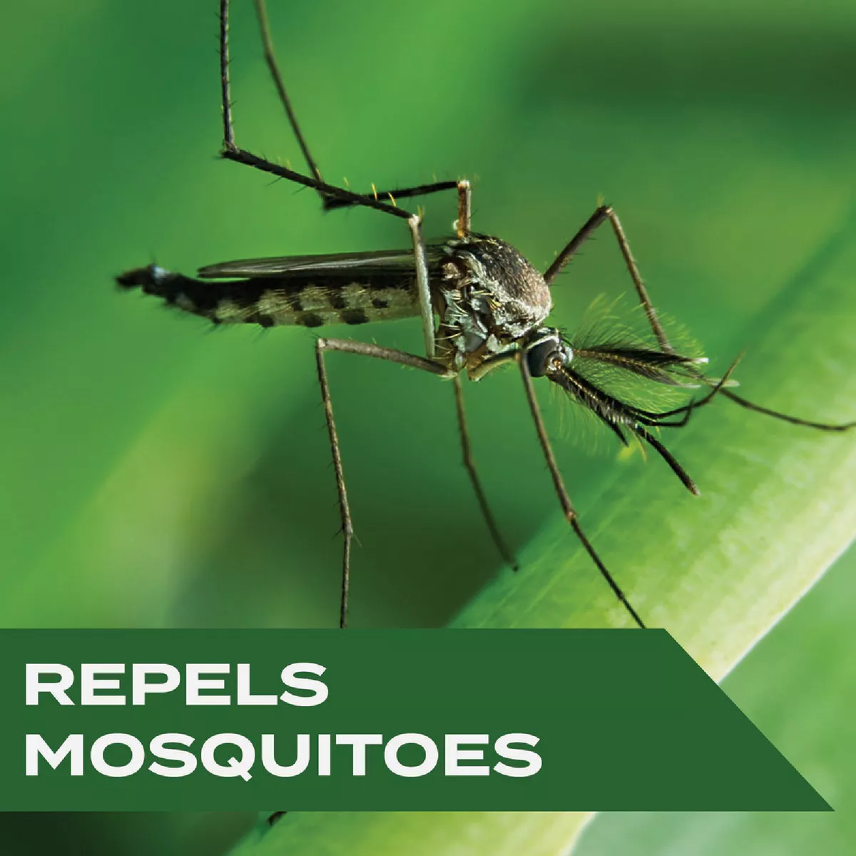 Stem 4 Oz. Spritz Mosquito Repellent Spritz - photo 3