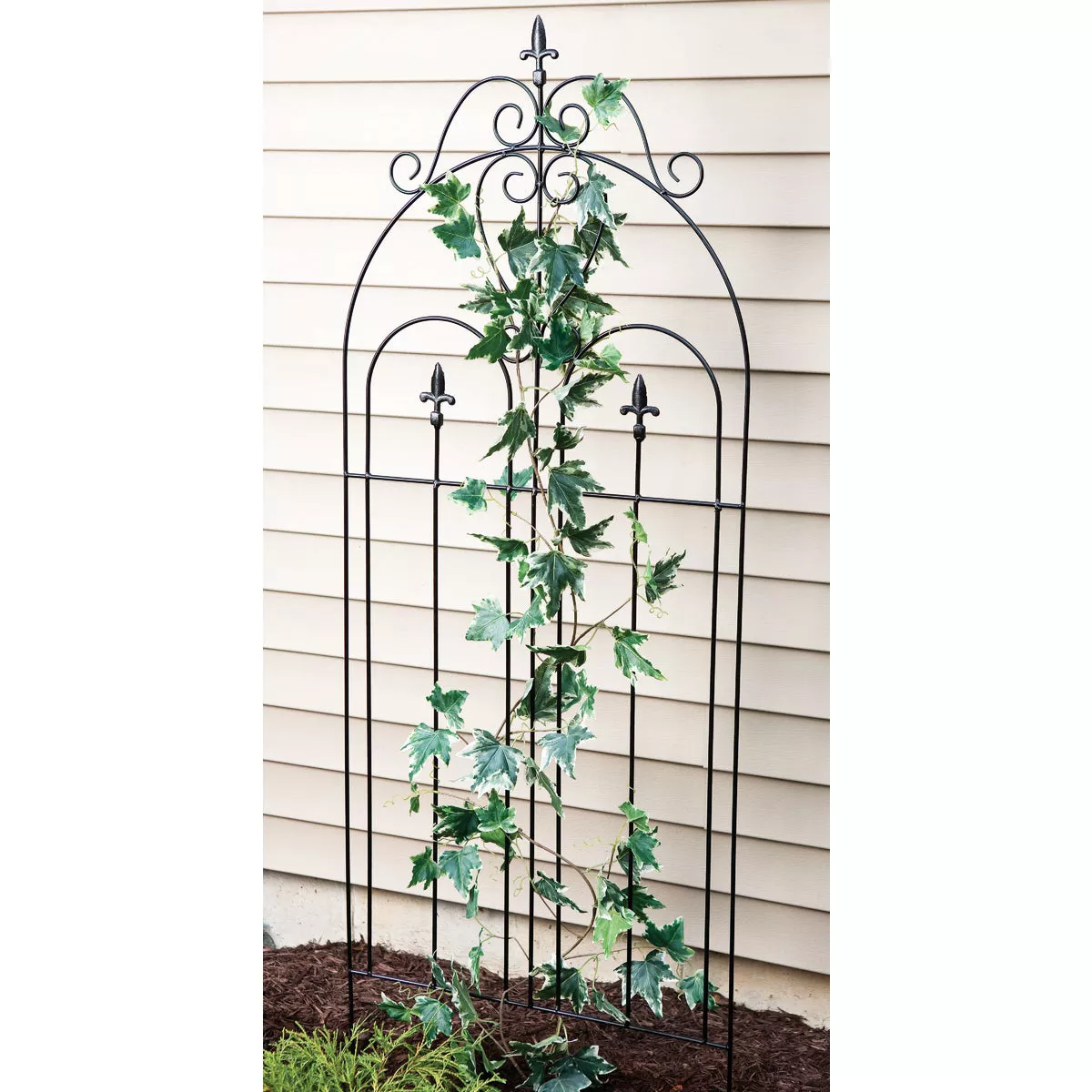 Best Garden Metal Cathedral Black Trellis - photo 2