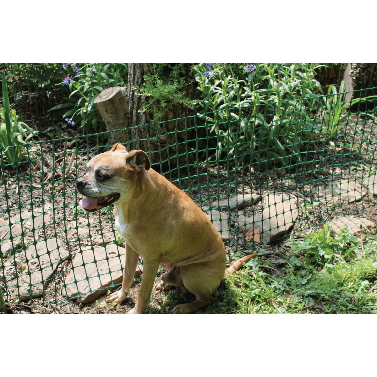 Tenax 4 Ft. H. x 50 Ft. L. High-Density Polyethylene Garden Fence, Green - photo 6