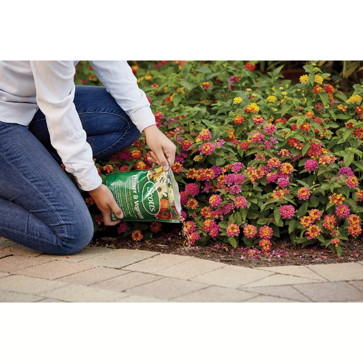 Scotts 3 Lb. All Purpose Flower & Vegetable Continuous Release Plant Food - photo 3