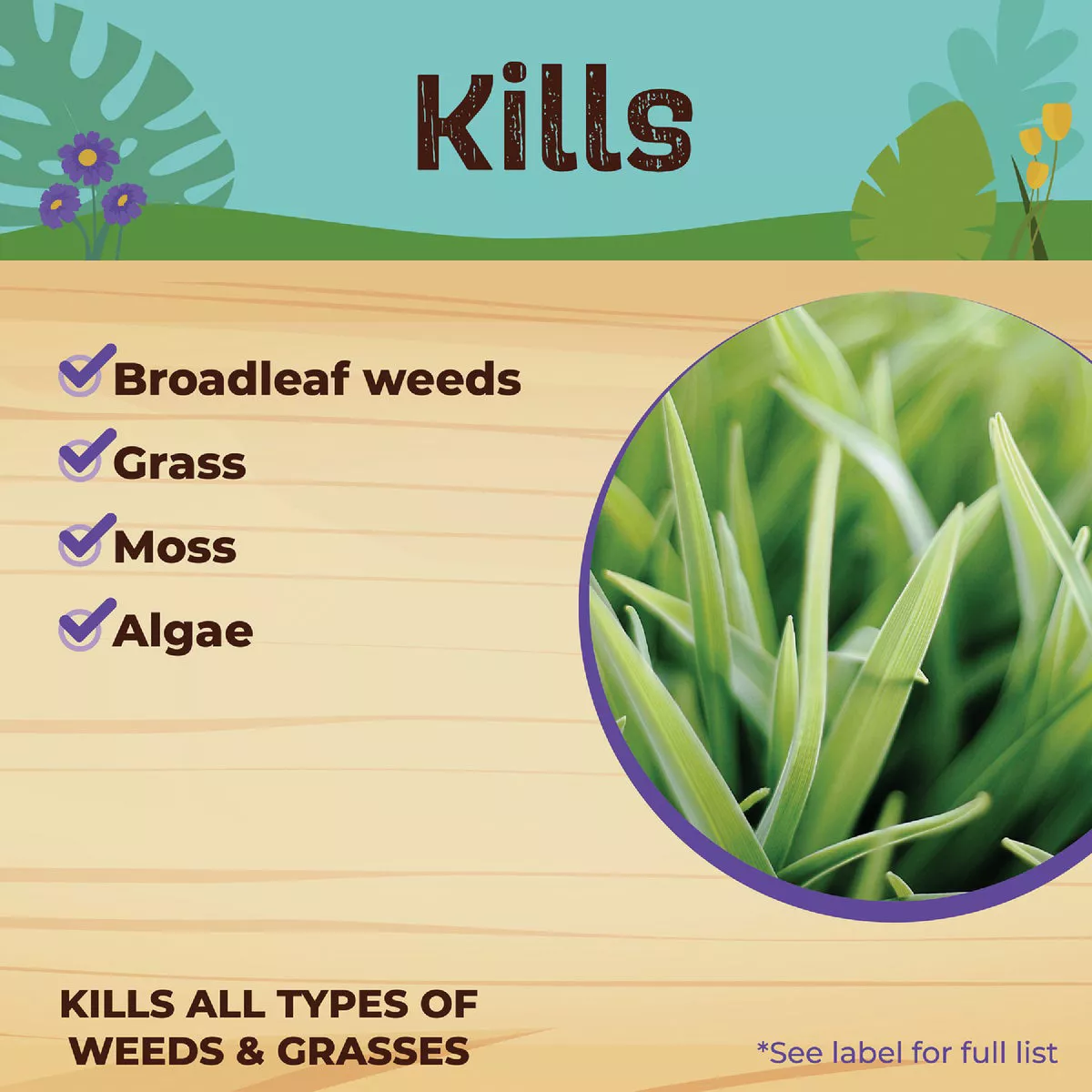 Bonide Captain Jack's Deadweed Brew 32 Oz. Concentrate Weed & Grass Killer - photo 5