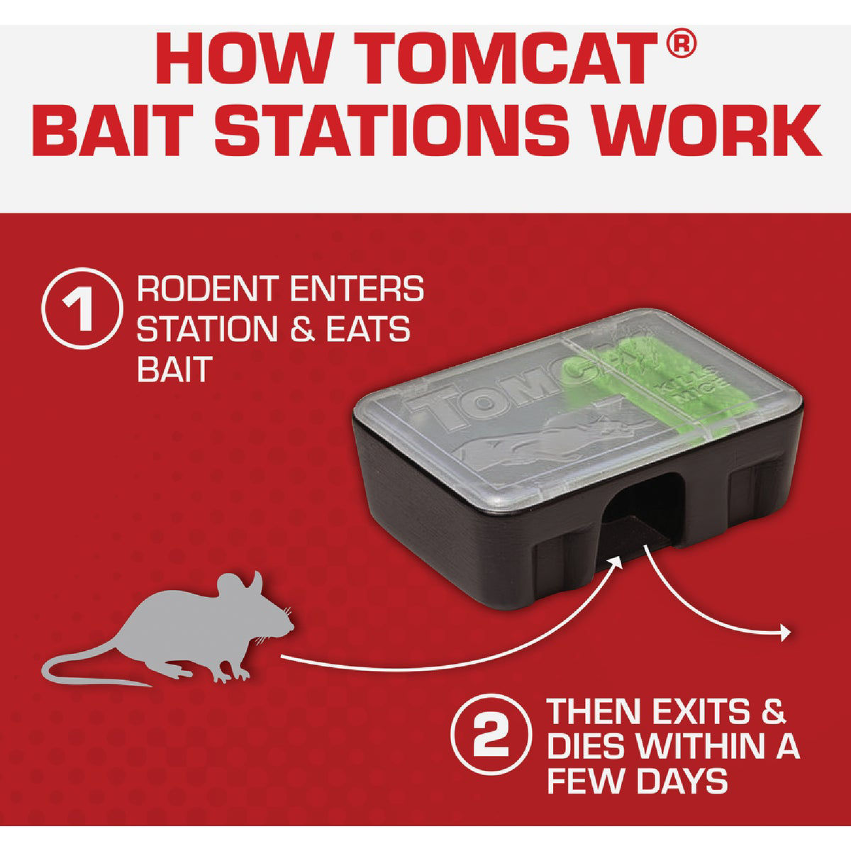 TOMCAT Disposable Bait Station Mouse Killer (4Pack) Do it Best