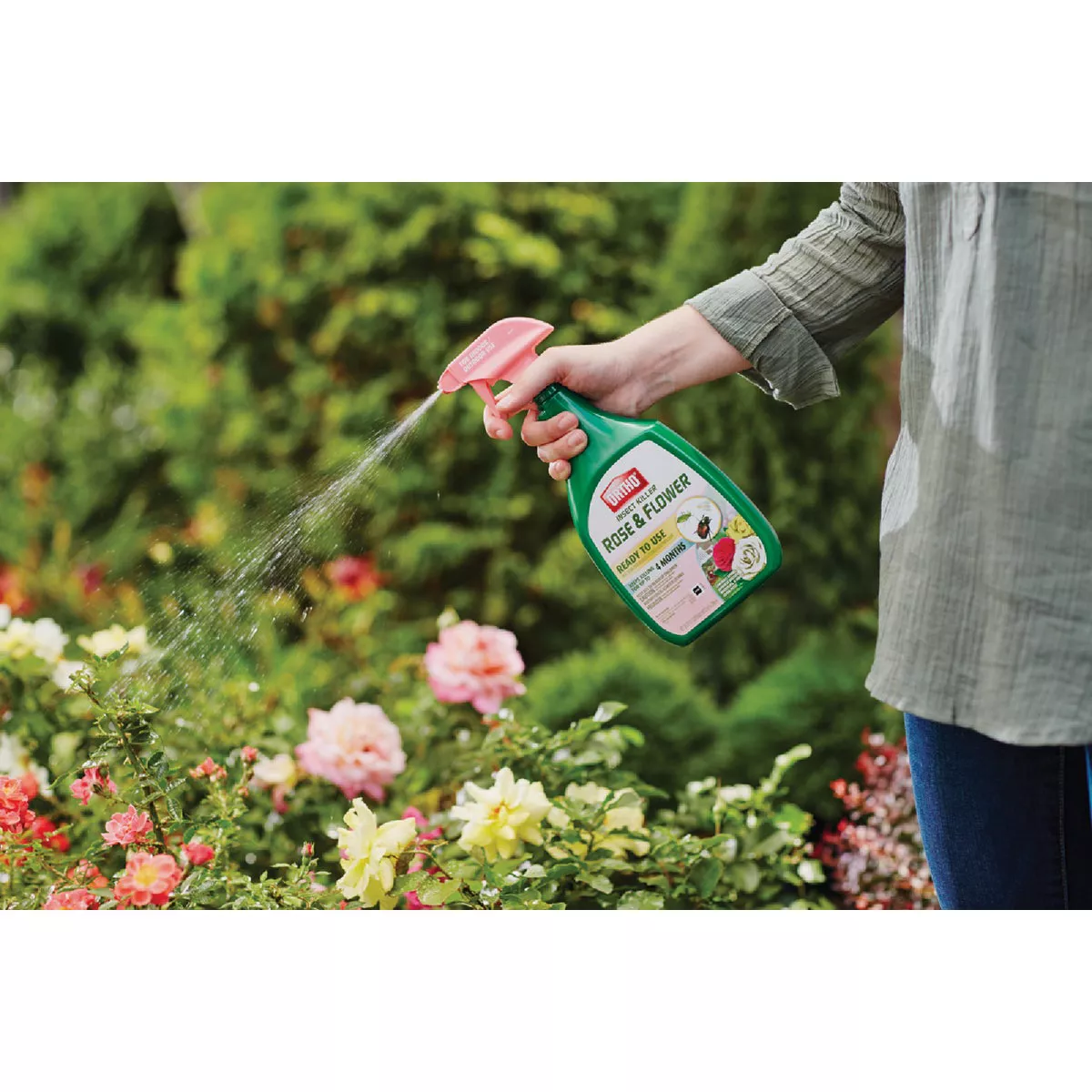Ortho 24 Oz. Ready To Use Trigger Spray Rose & Flower Insect Killer - photo 5
