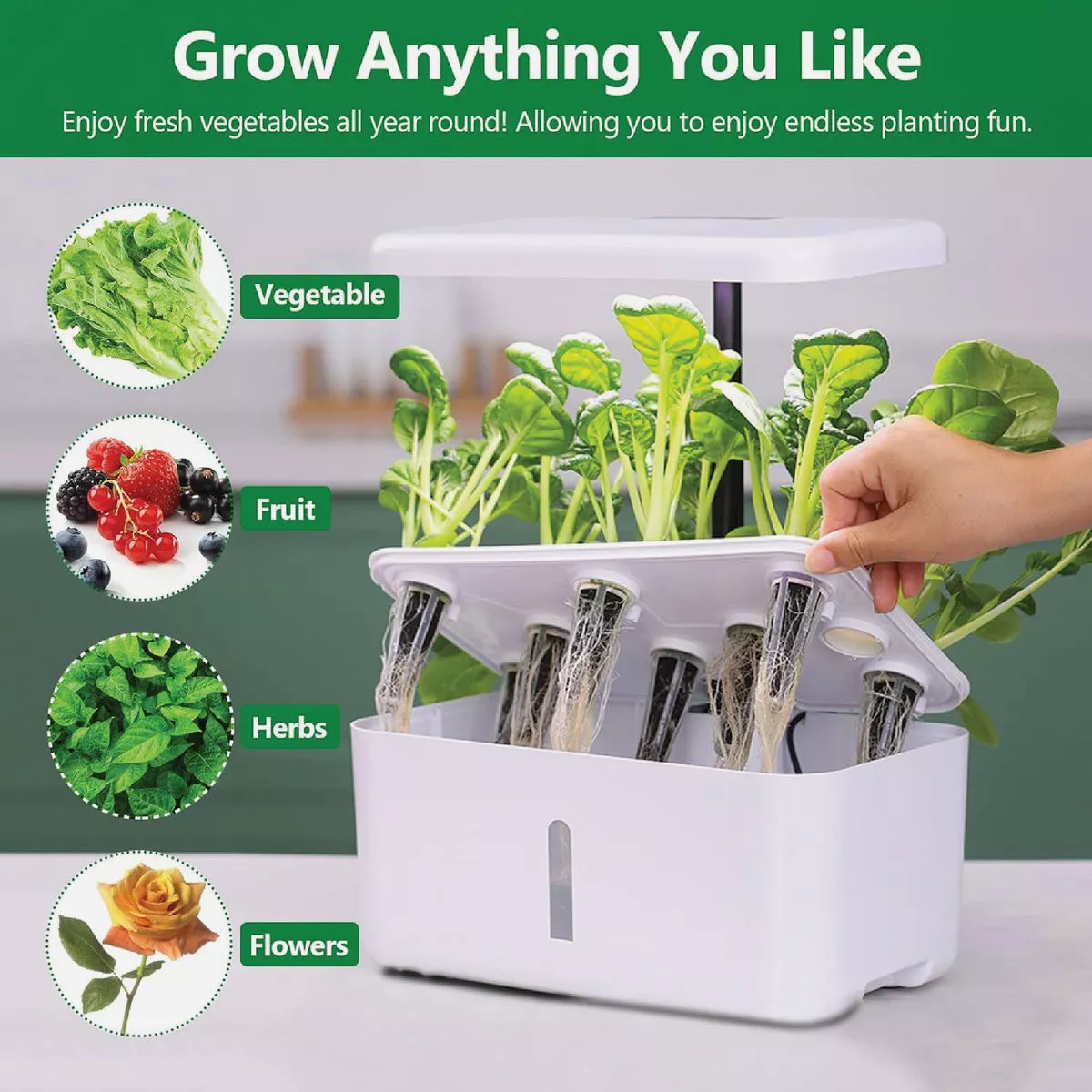 AeroGarden Grow Anything 6-Seed Pod Kit - photo 3