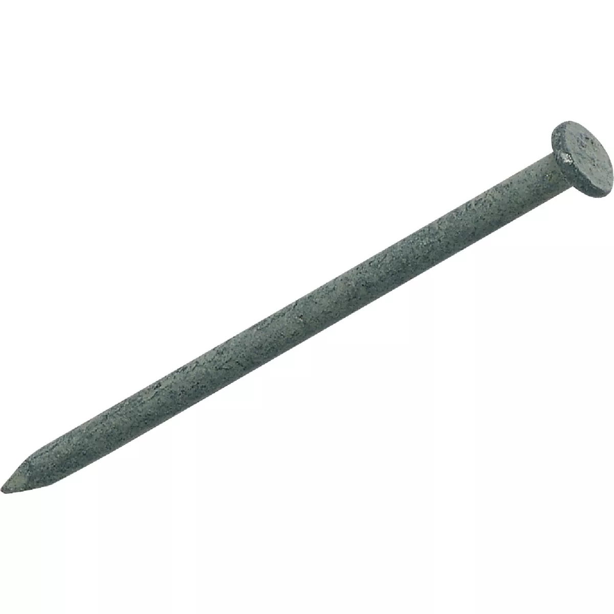 Do it Best 2-1/2 In. x 10.5 ga x 8d Hot Galvanized Common Nails (5050 Ct., 50 Lb.)