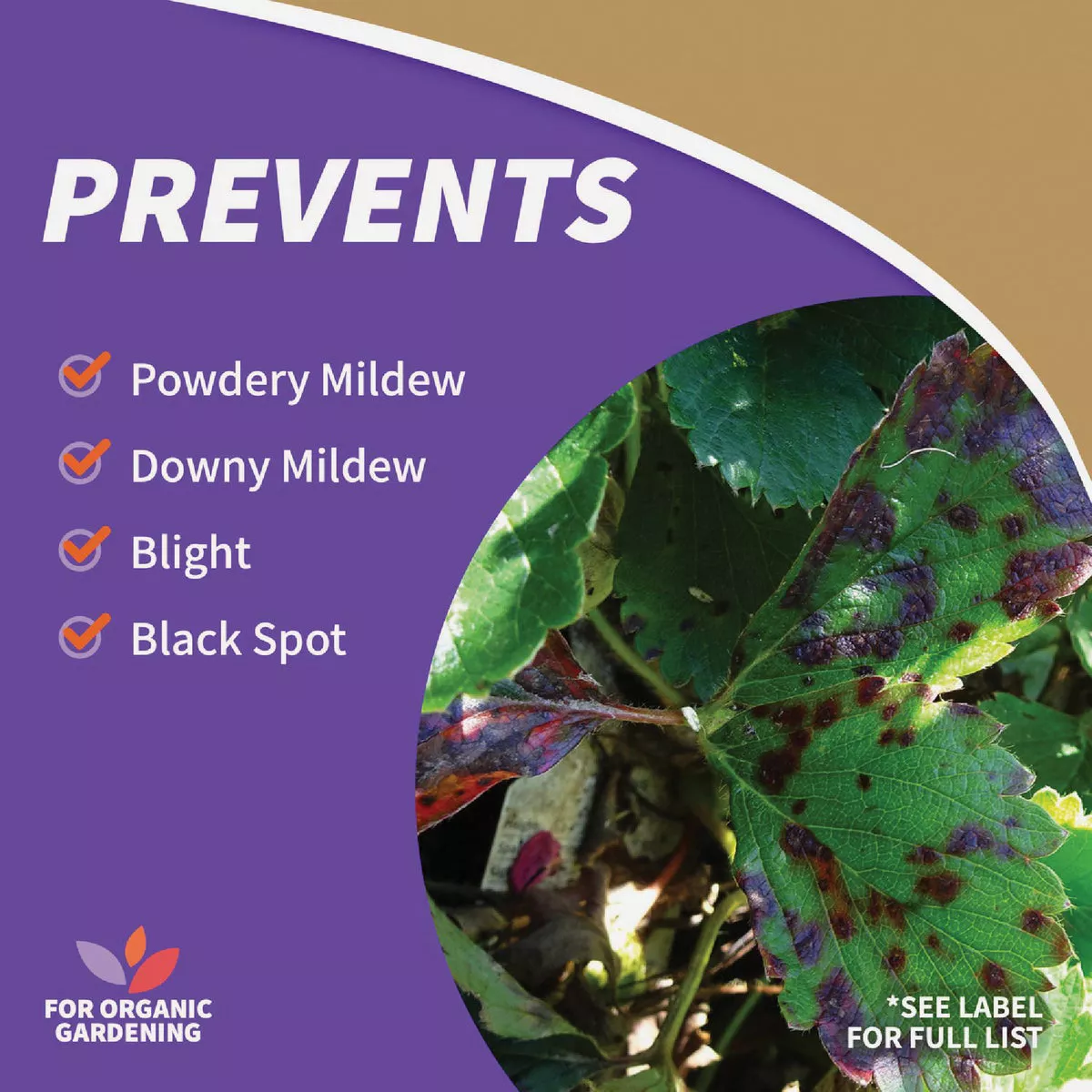 Bonide Captain Jack's 1 Qt. Ready To Use Trigger Spray Copper Fungicide - photo 5