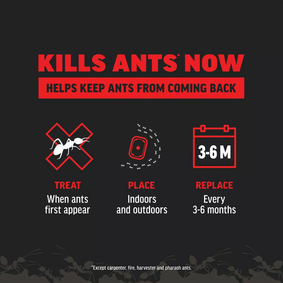 Amdro 1.28 Oz. Solid Ant Bait Stake (8-Pack) - photo 5