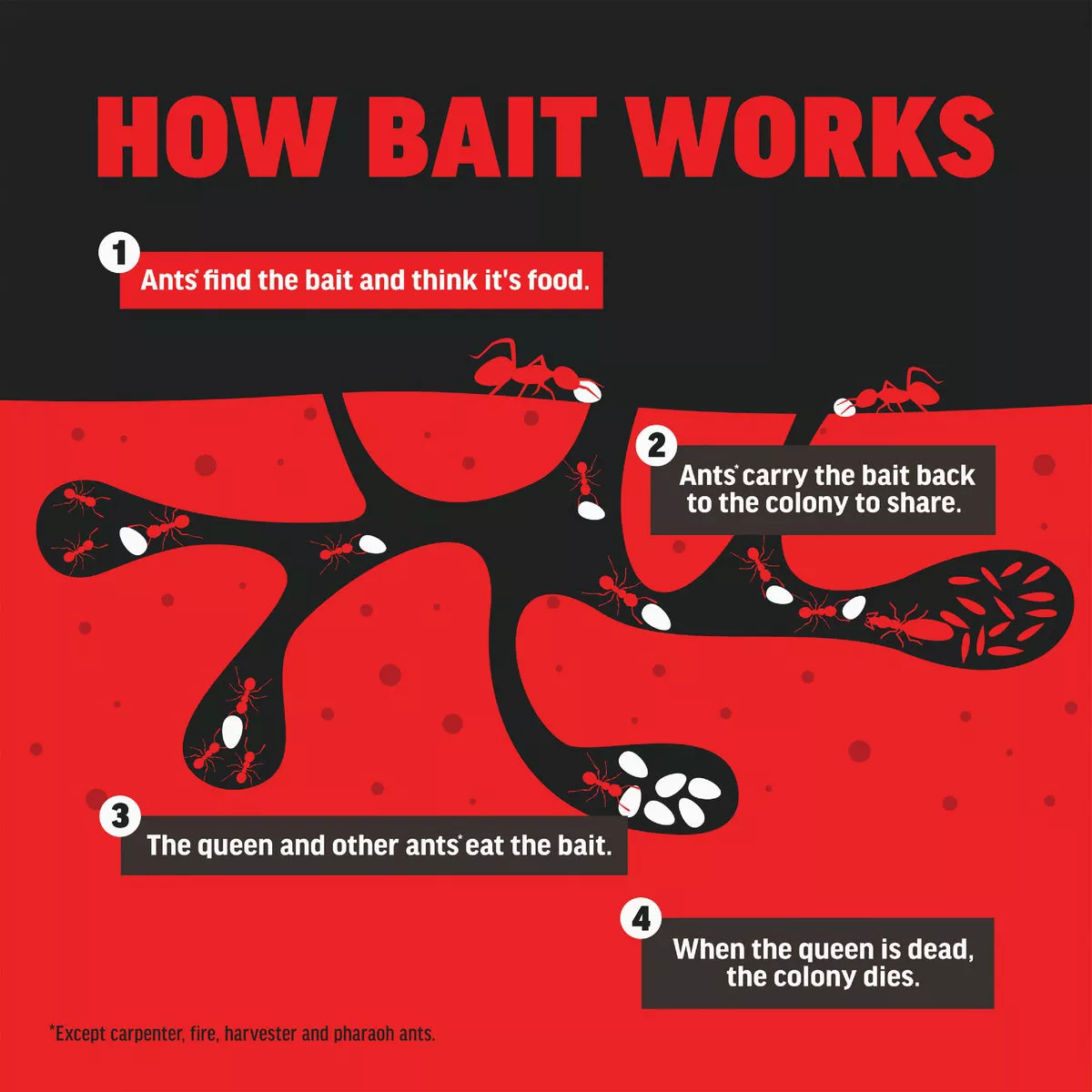 Amdro 1.28 Oz. Solid Ant Bait Stake (8-Pack) - photo 6